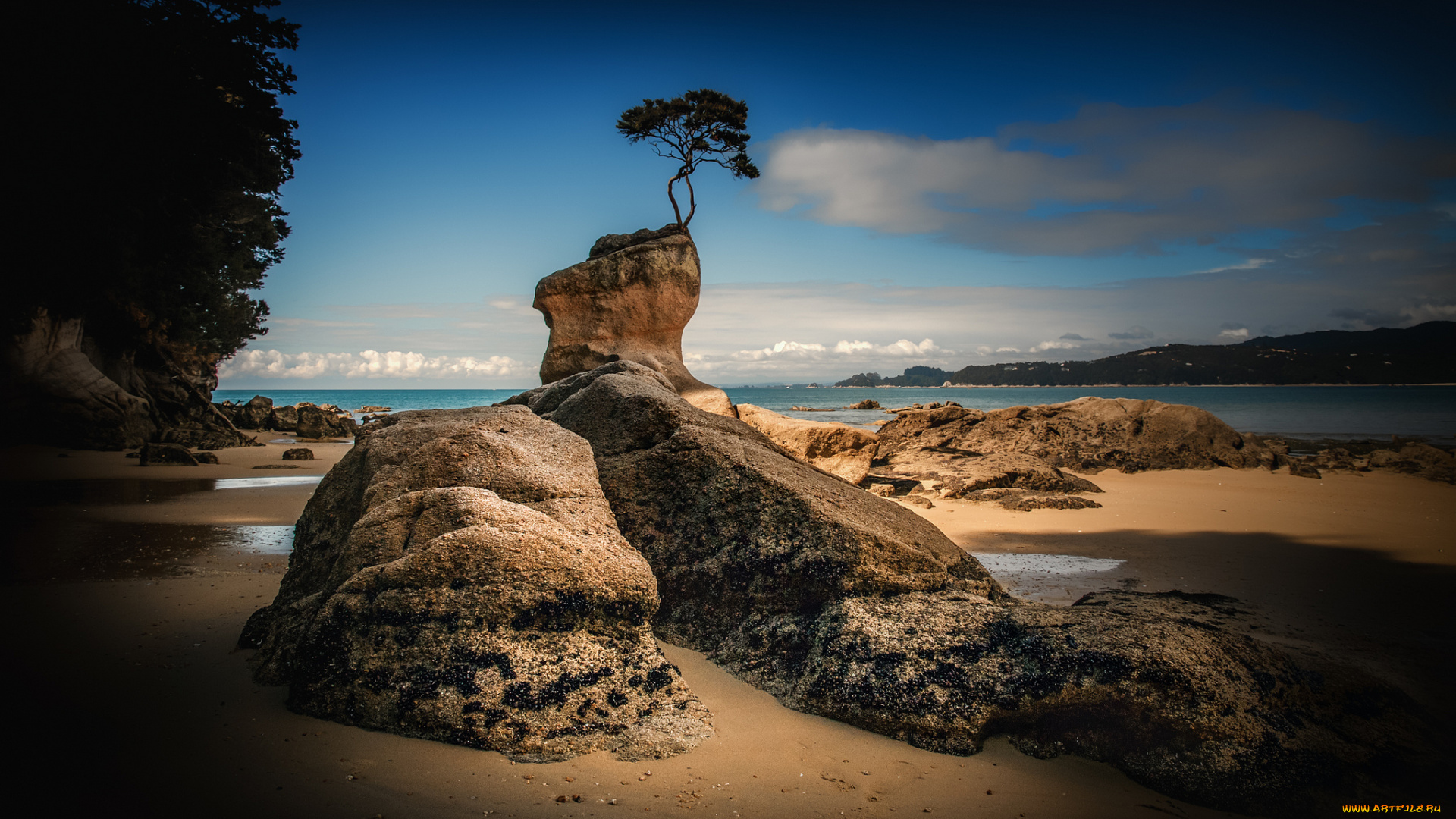 природа, побережье, море, берег