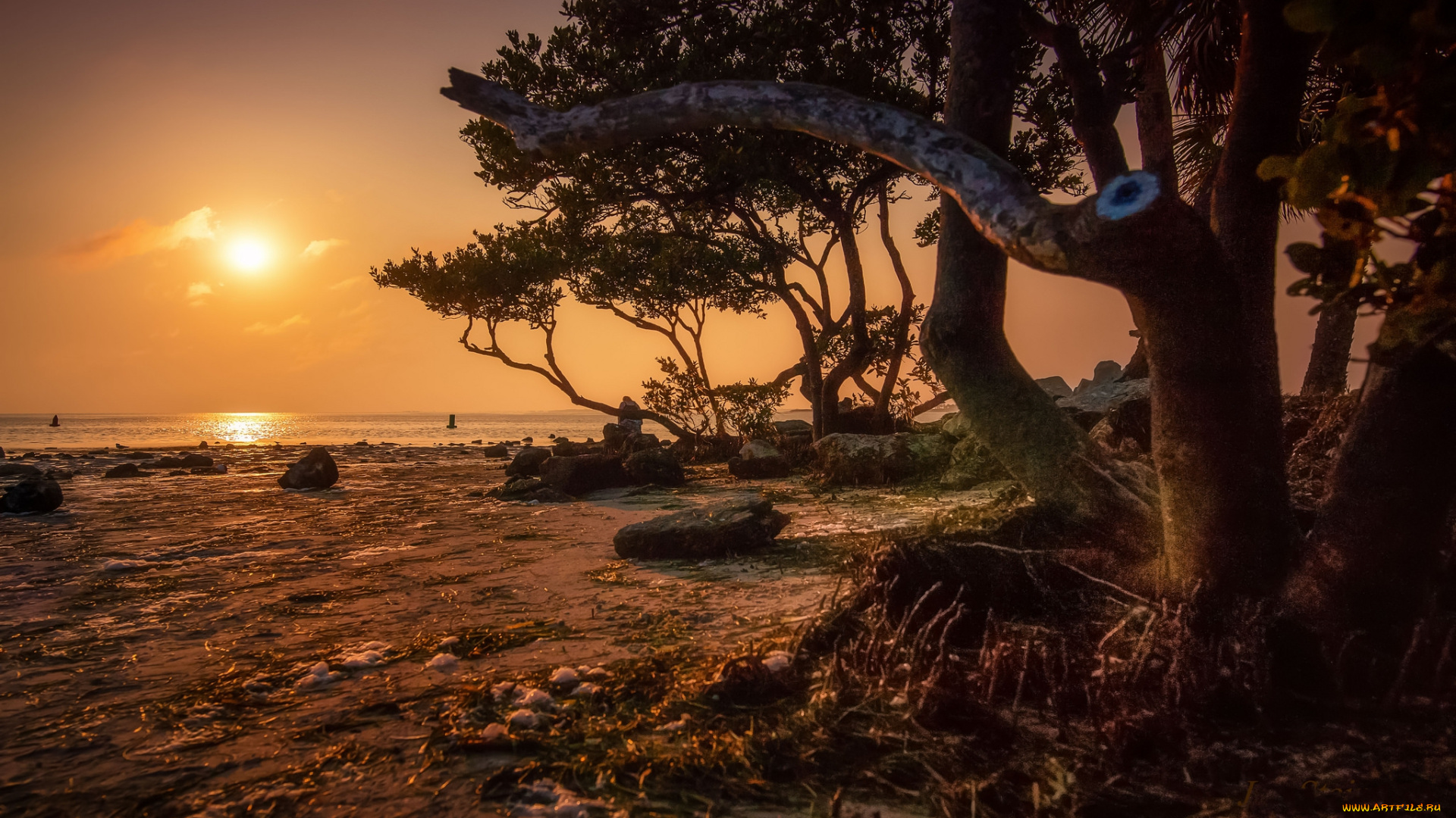 природа, побережье, море, берег