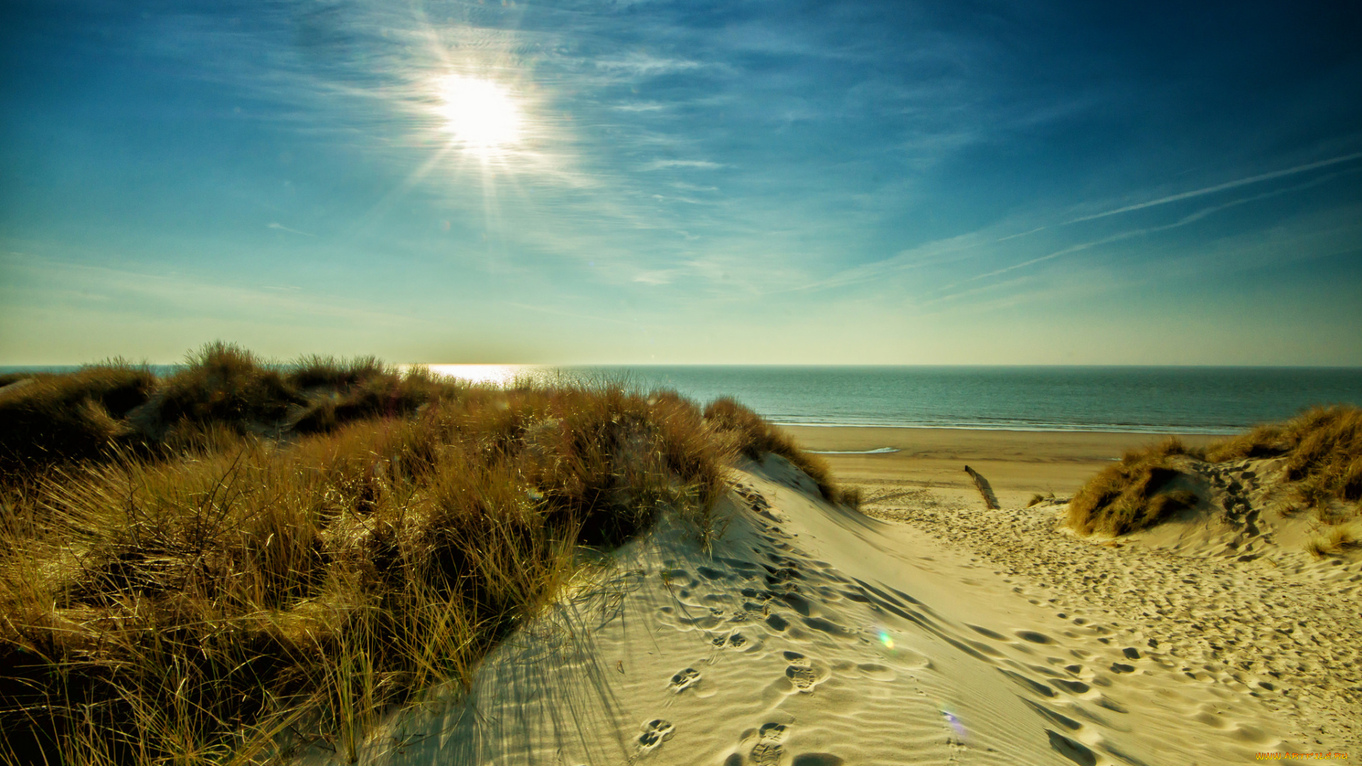 природа, побережье, море, берег