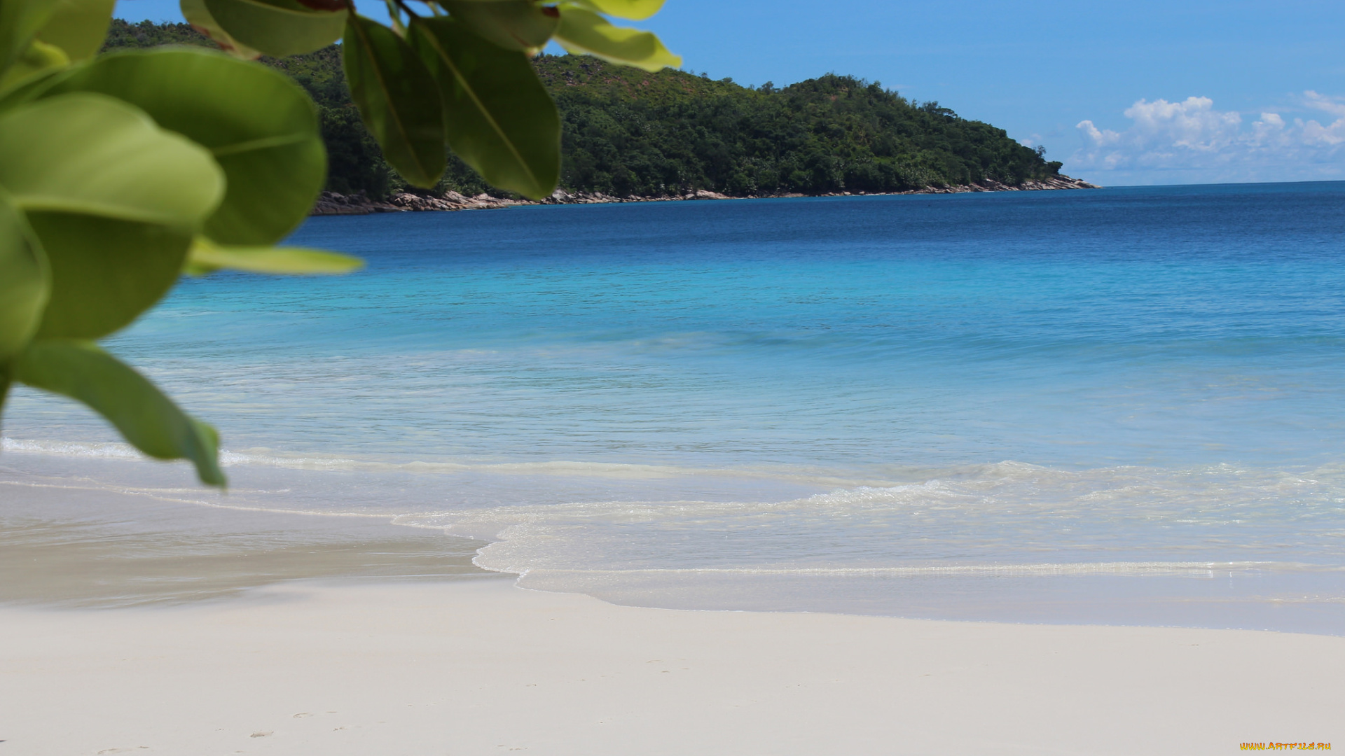 природа, побережье, песок, пальмы, море, пляж