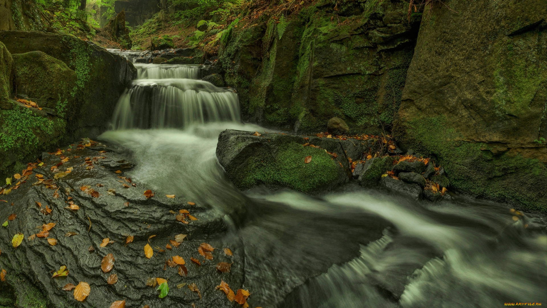 природа, реки, озера, камни, поток