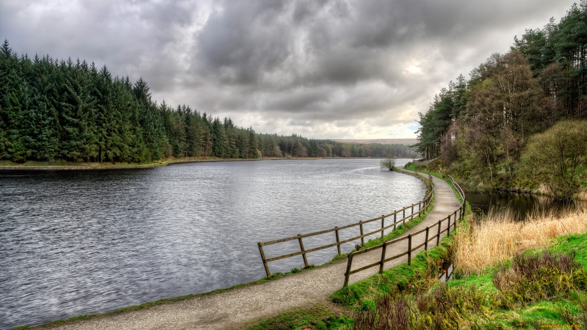 природа, реки, озера, лес, река