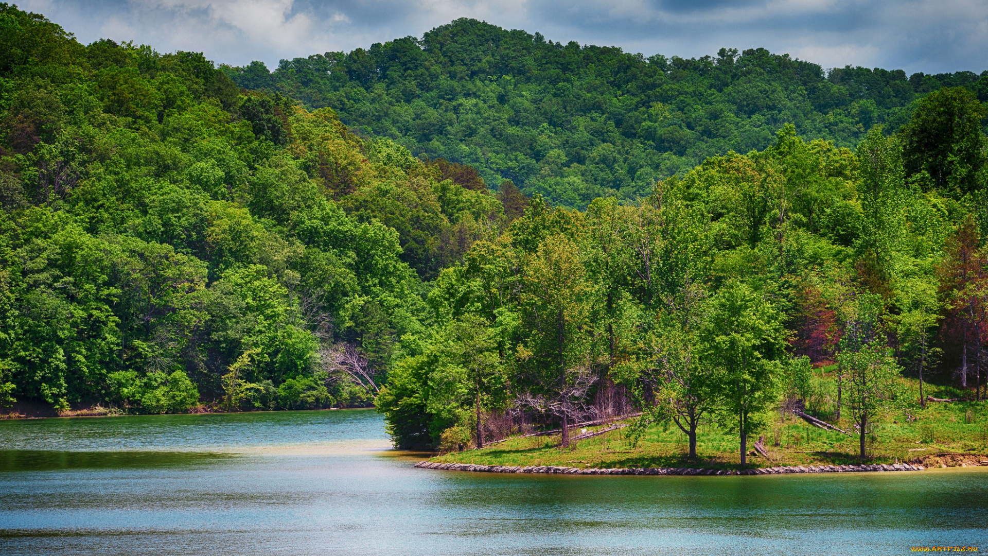 природа, реки, озера, лес, река