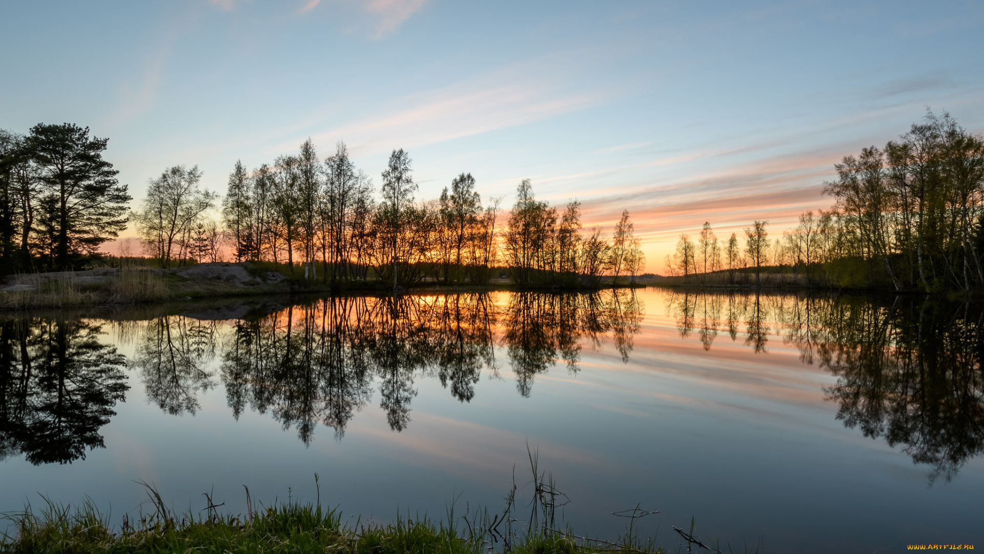 природа, реки, озера, лес, река