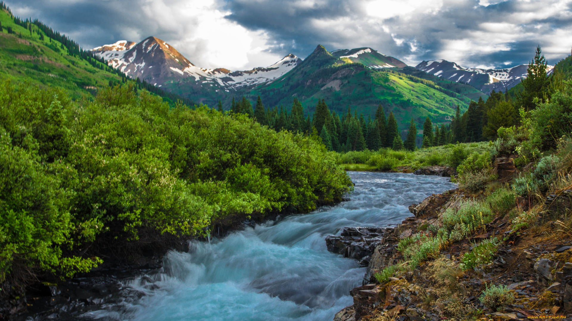 природа, реки, озера, лес, река