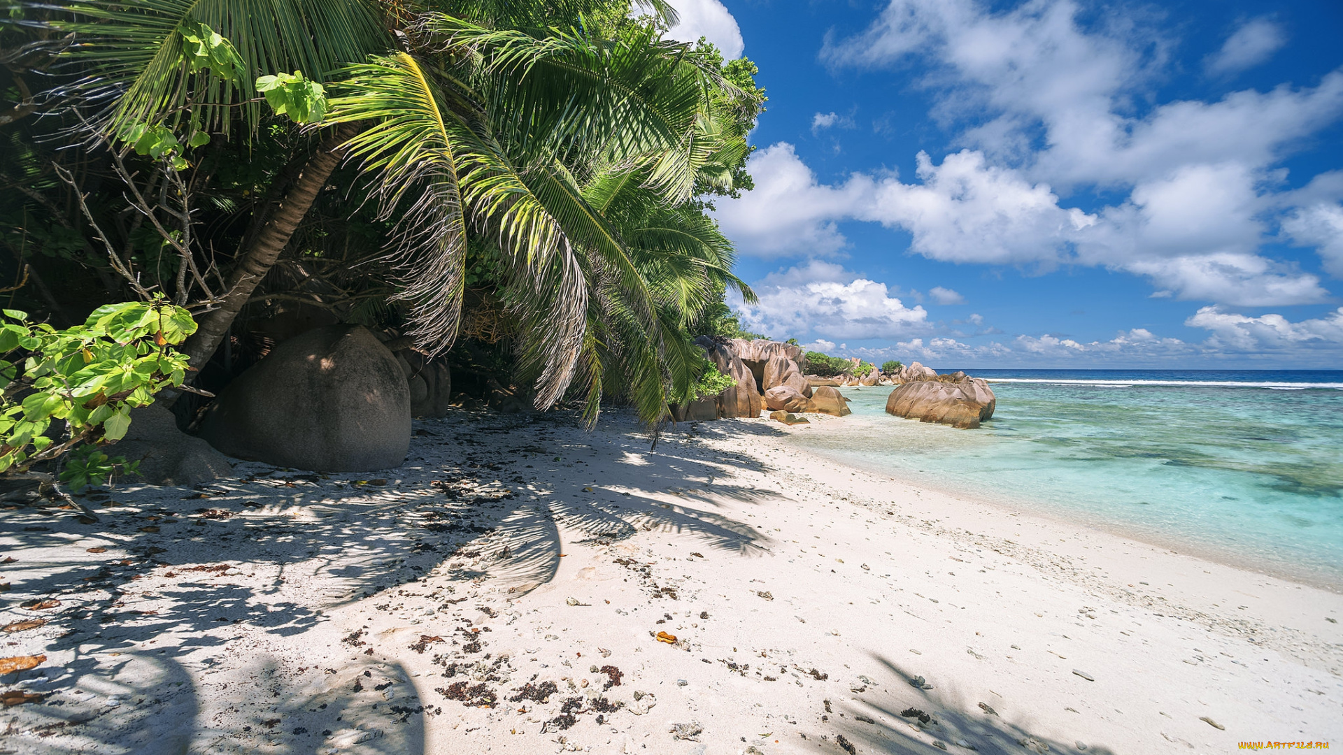 природа, тропики, курорт