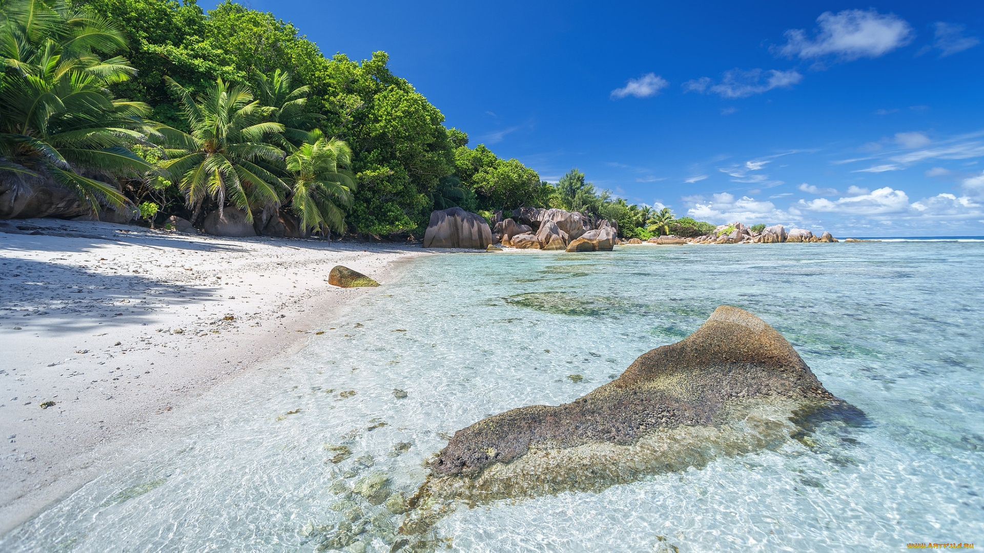 природа, тропики, курорт