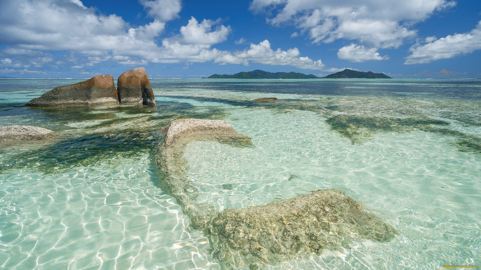 природа, тропики, курорт