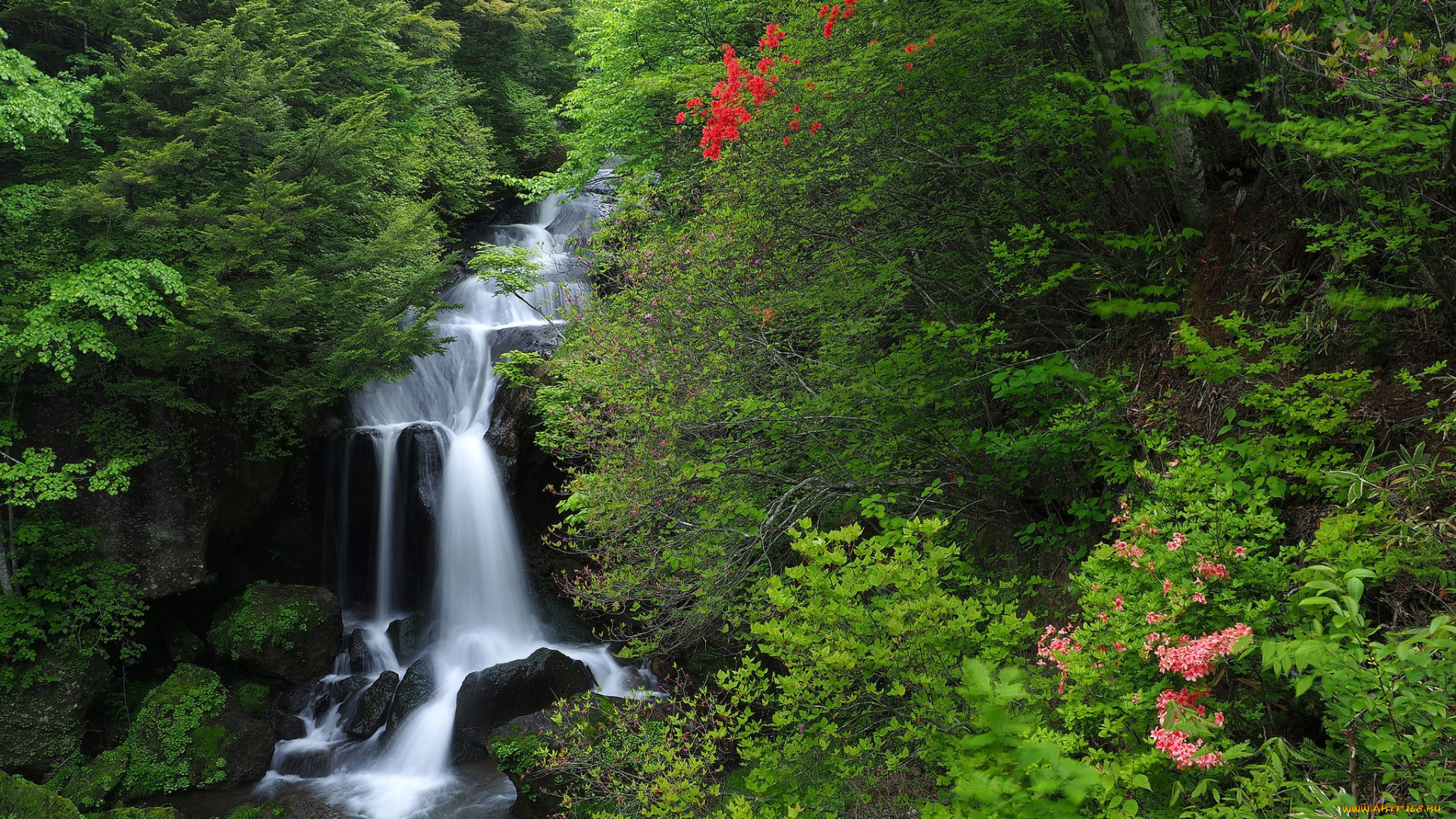природа, водопады, лес, поток, камни