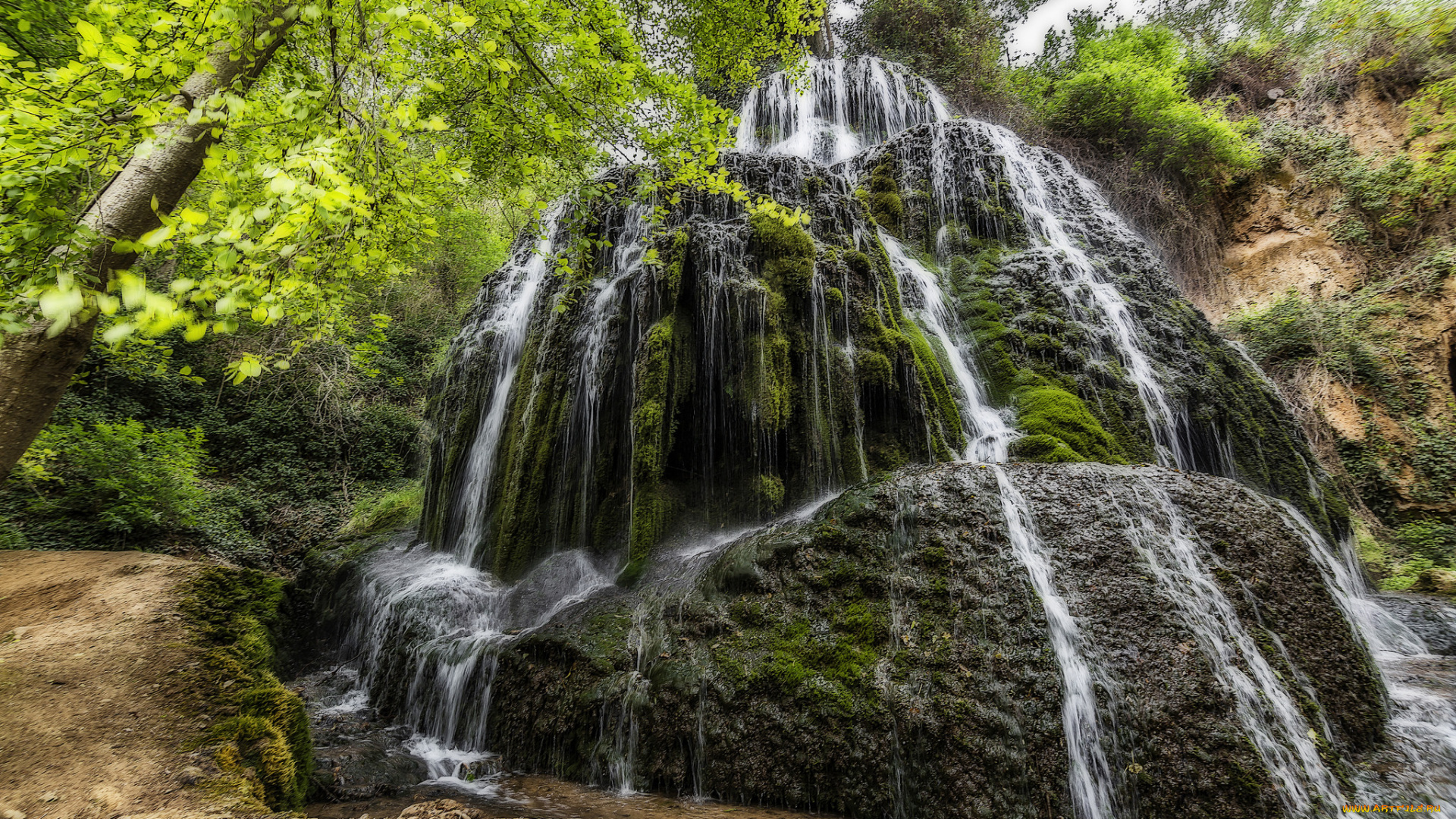 природа, водопады, лес, водопад, река