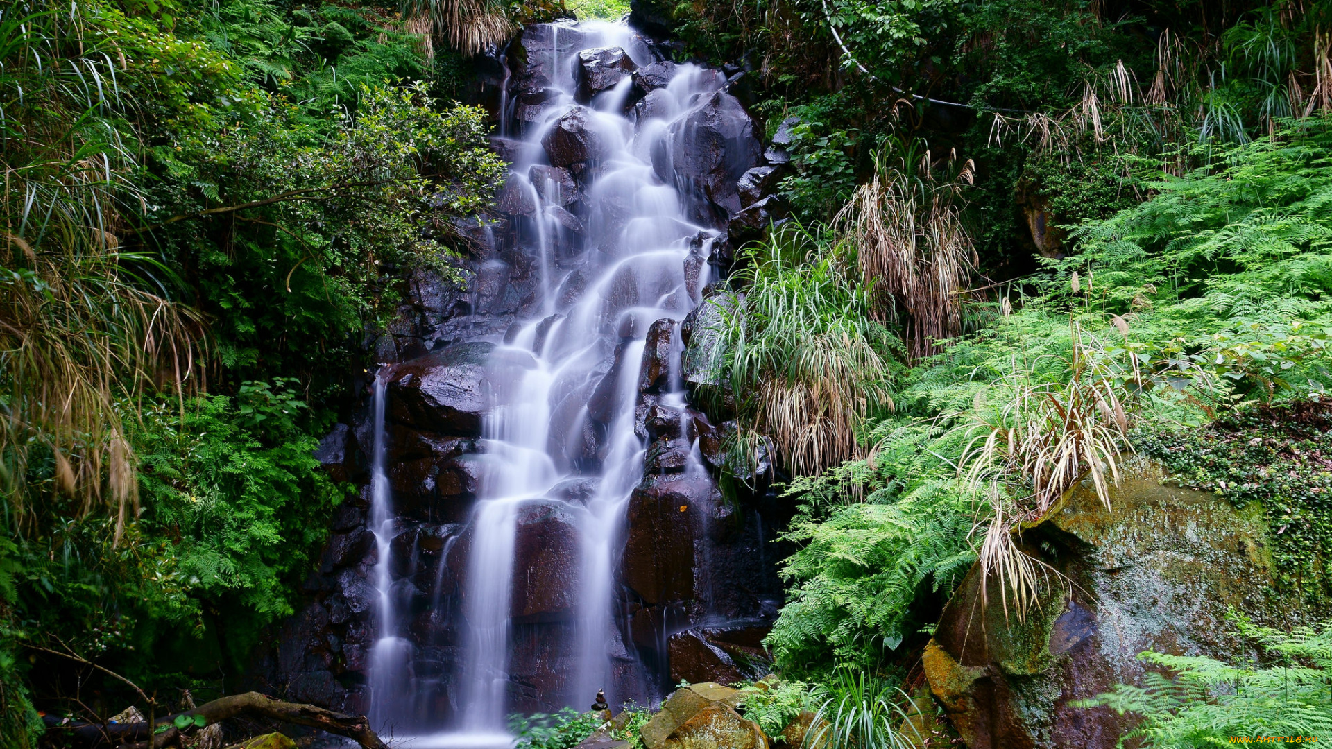 природа, водопады, река, лес, водопад