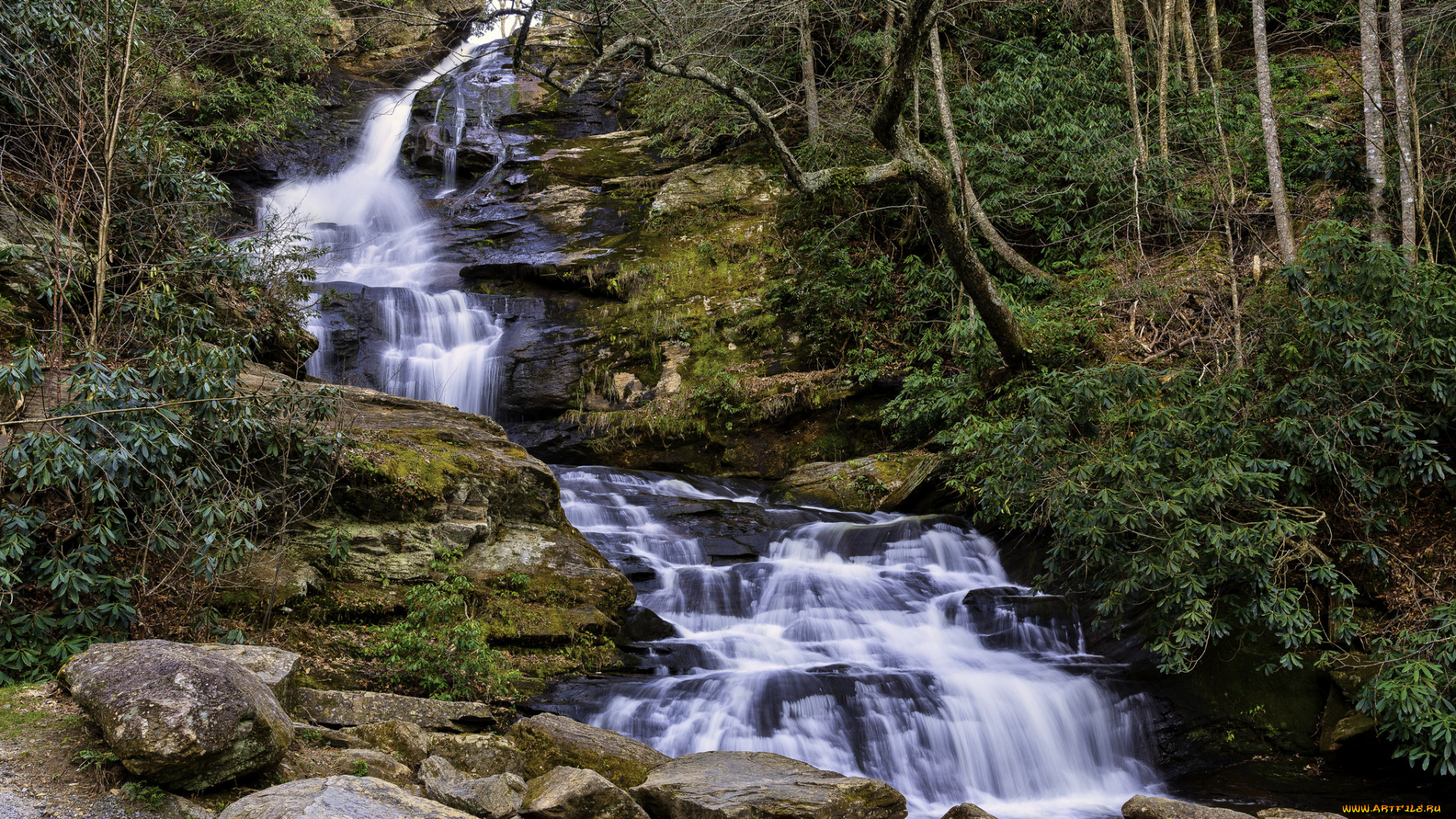 природа, водопады, река, лес, водопад