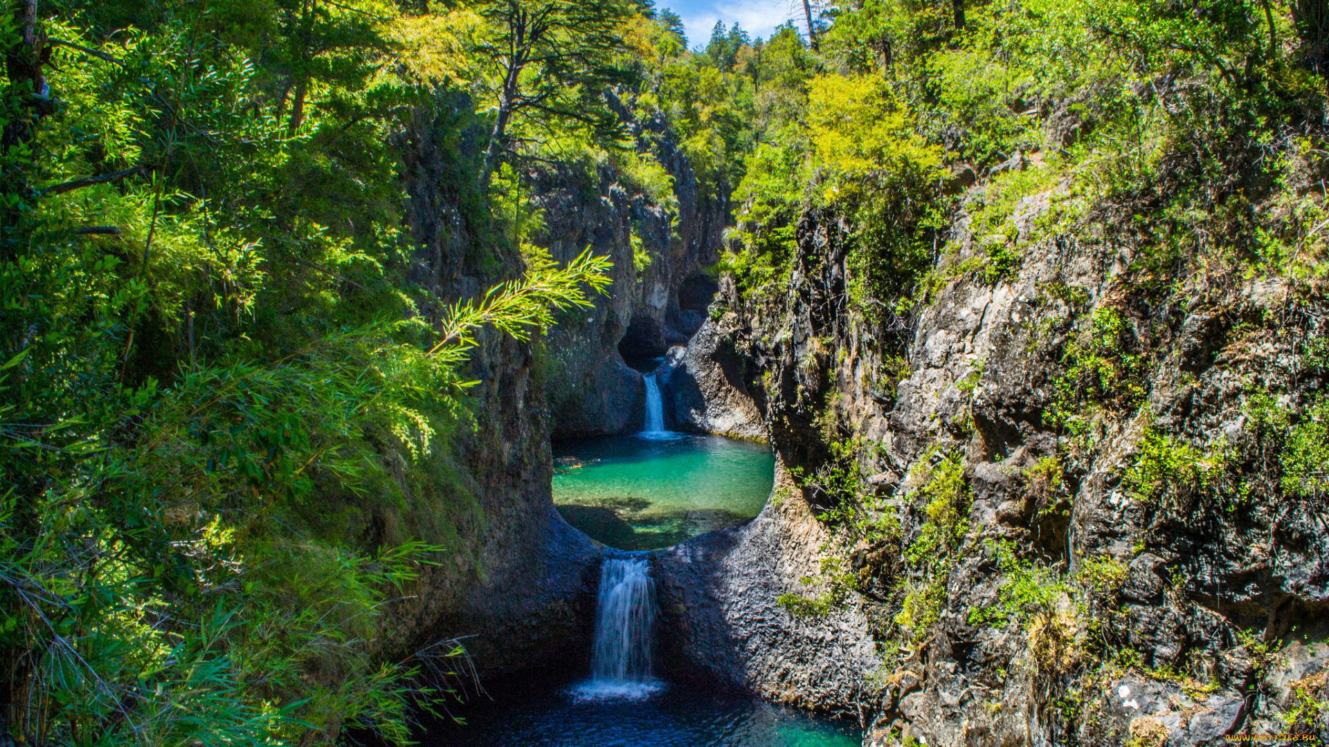 природа, водопады, водопад, лес, река