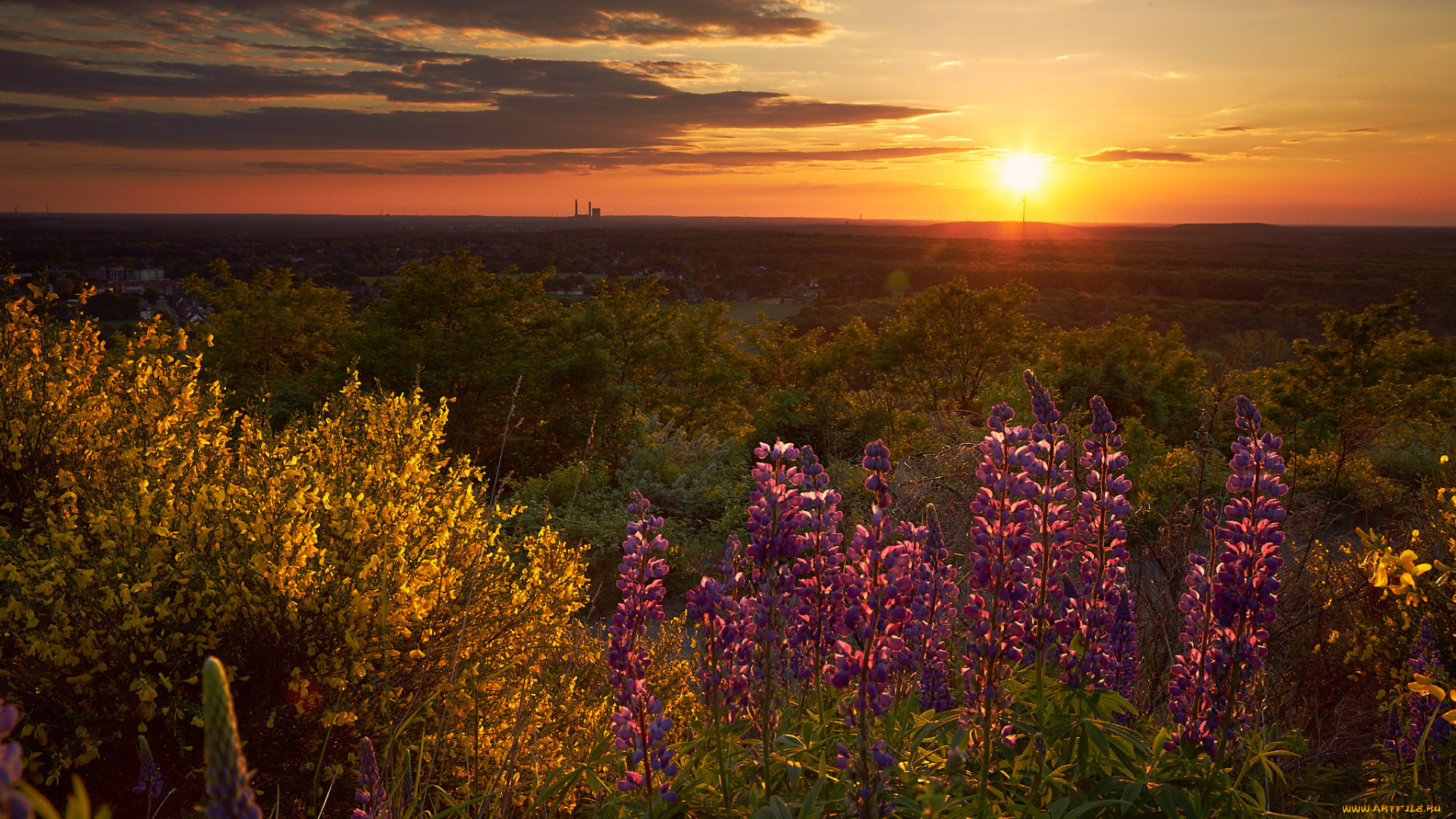 природа, восходы, закаты, рассвет