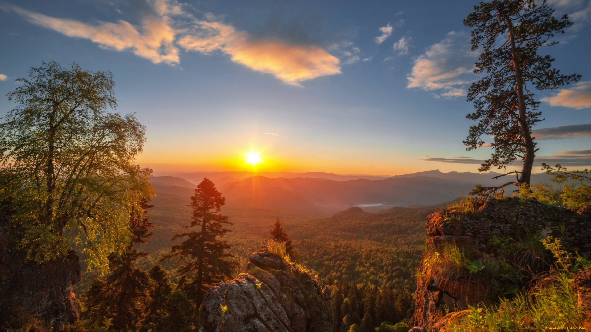 природа, восходы, закаты, рассвет, сосны, небо, солнце, алексей, дранговский, плато, лаго-наки
