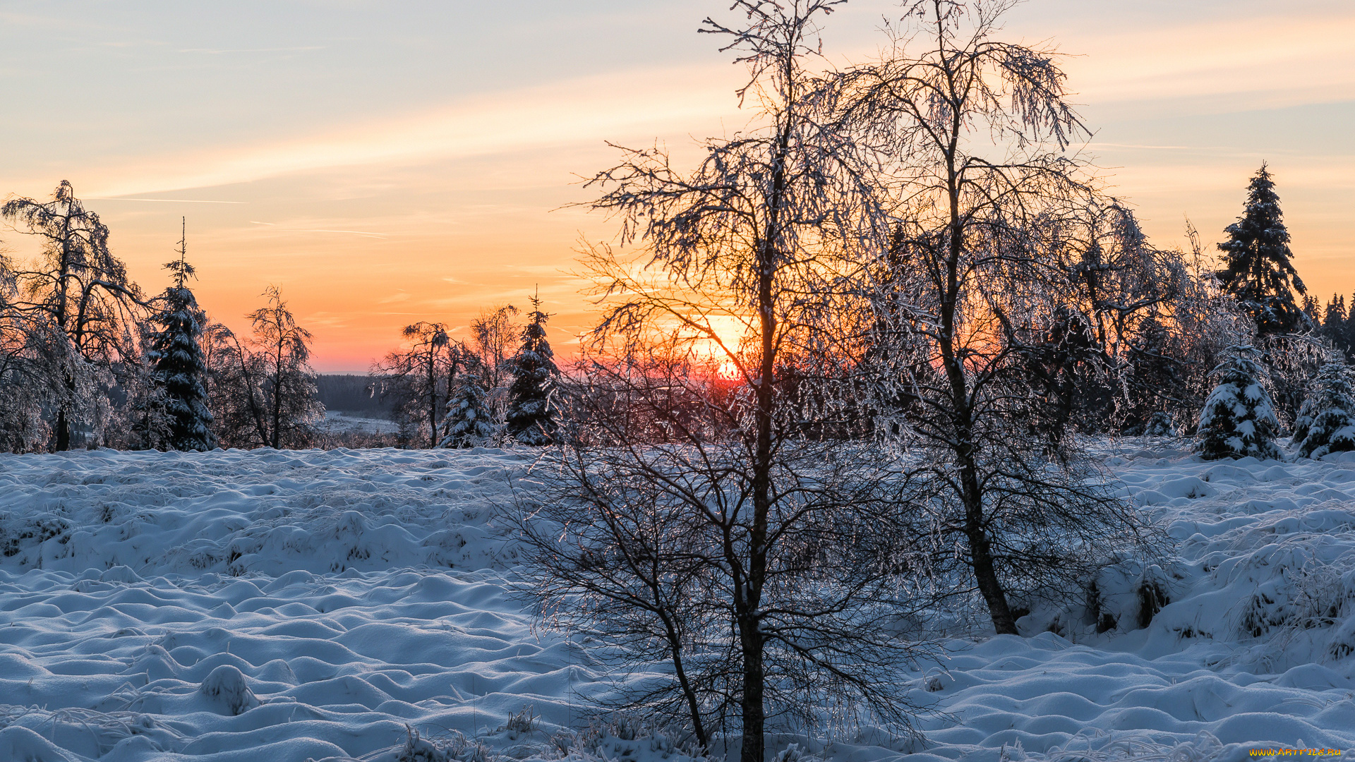 природа, зима, снег