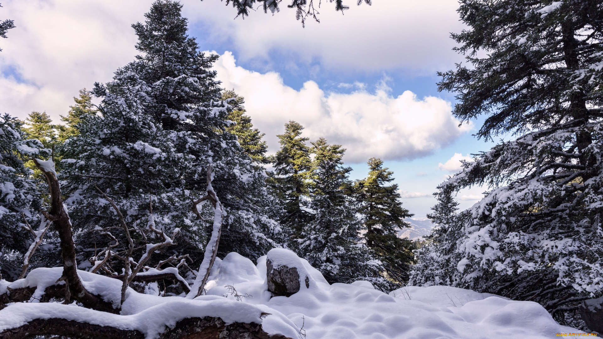 природа, зима, снег