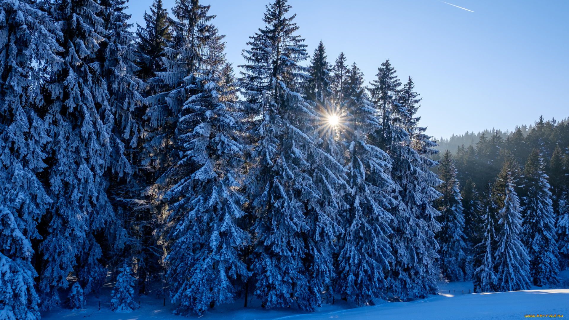 природа, зима, снег