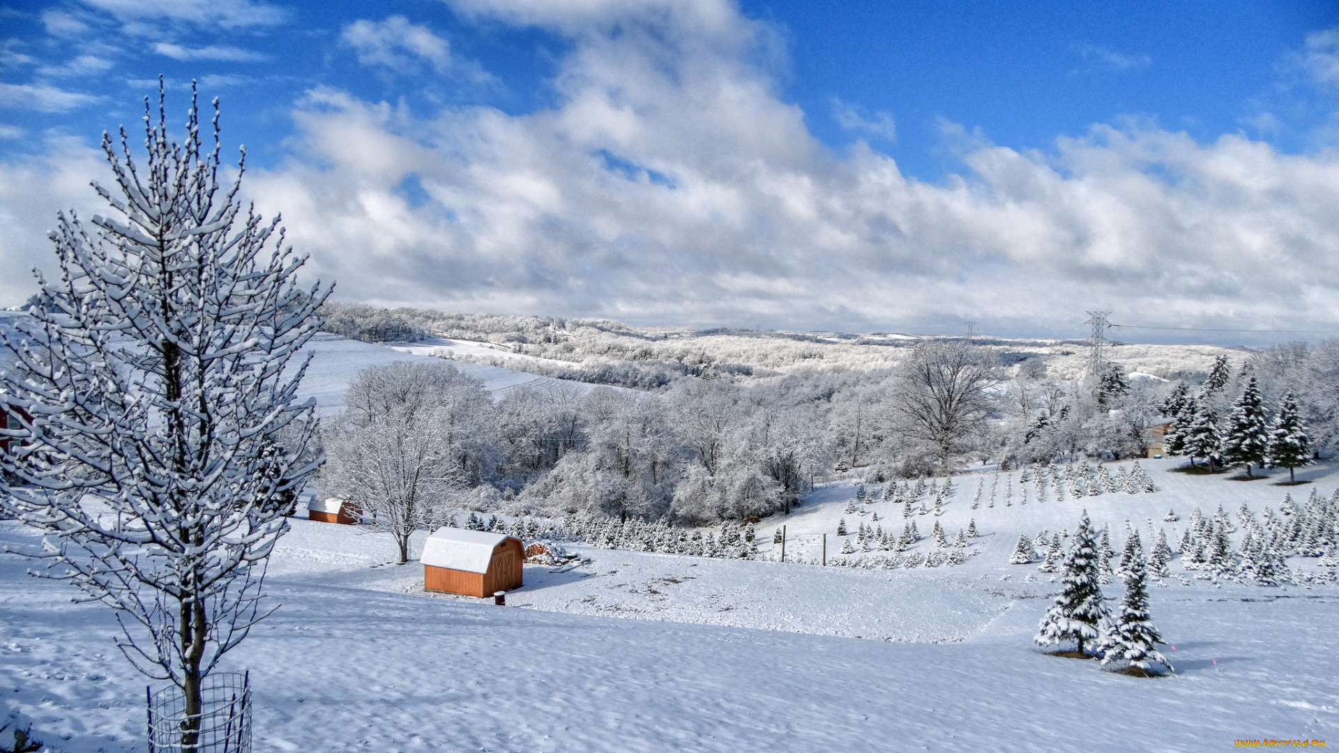 природа, зима, снег