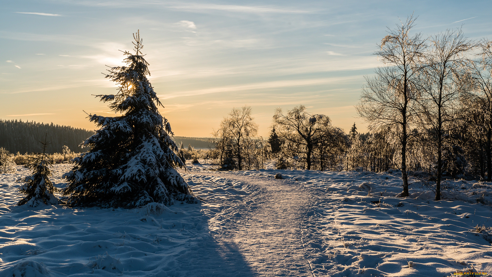 природа, зима, снег