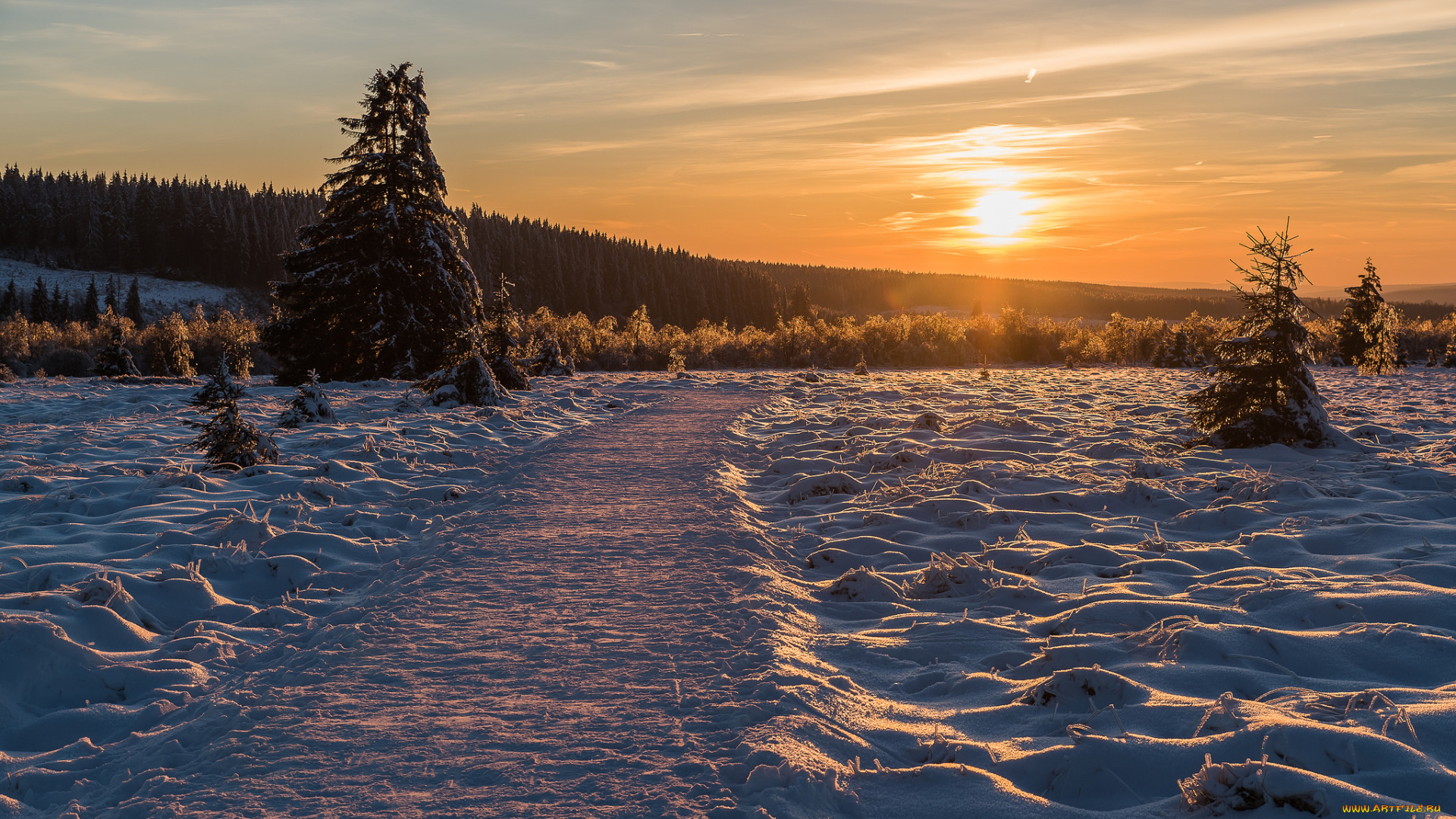 природа, зима, снег