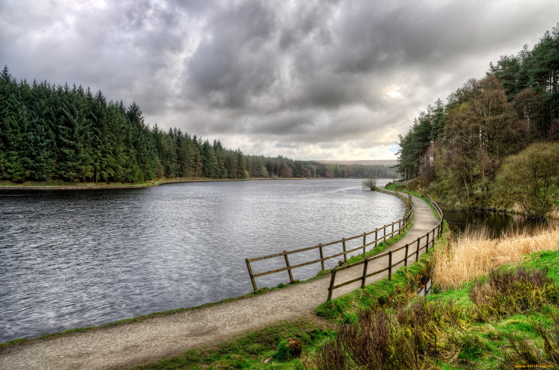 природа, реки, озера, лес, река