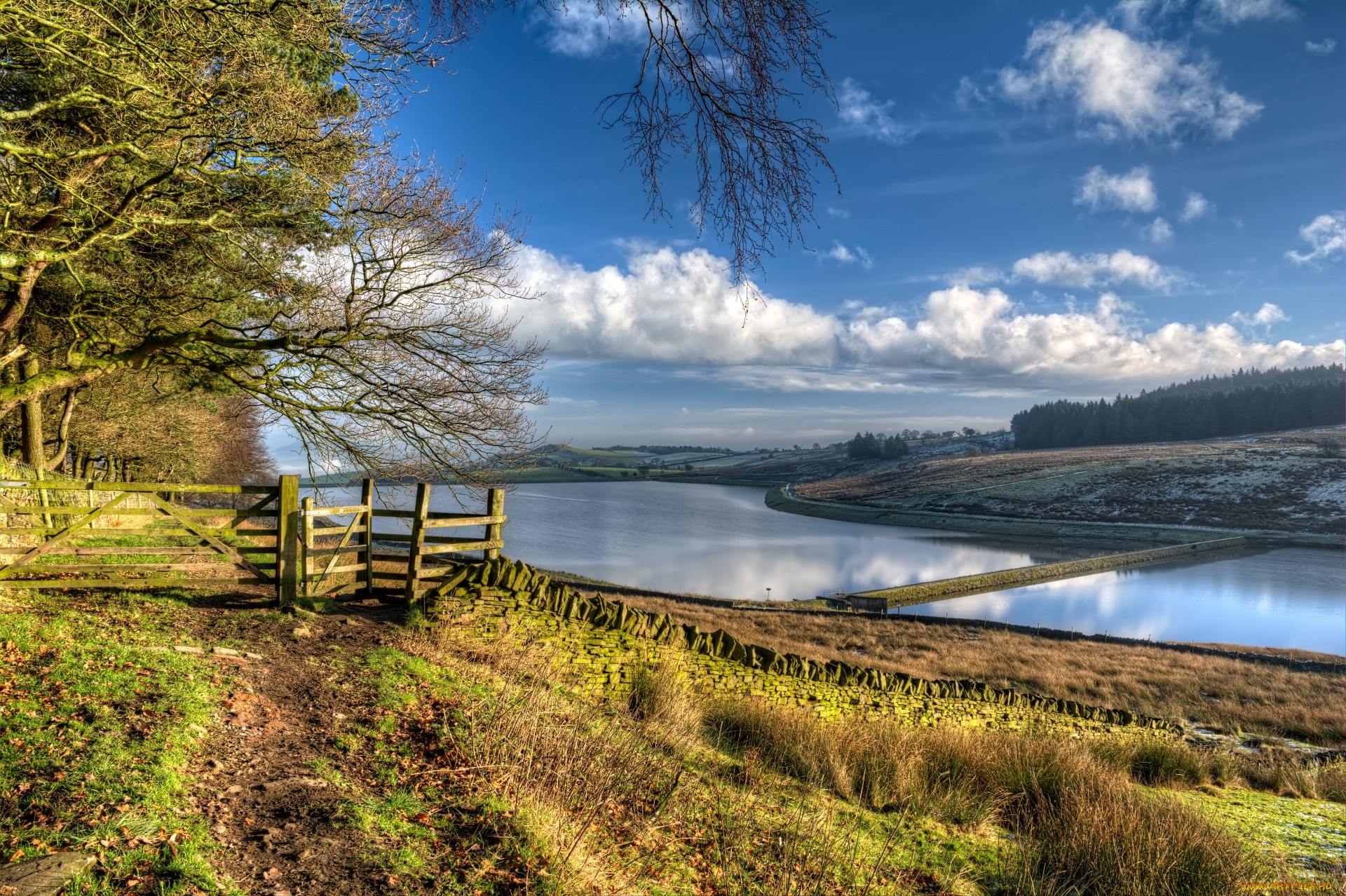 природа, реки, озера, река, лес