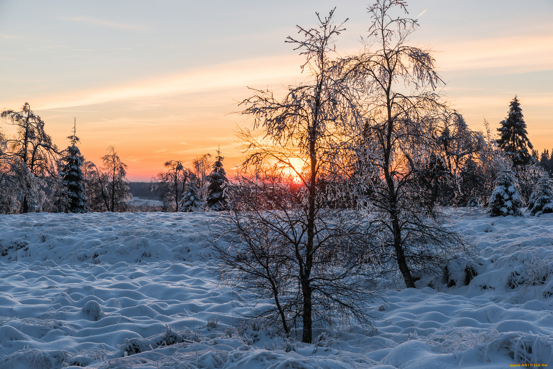 природа, зима, снег