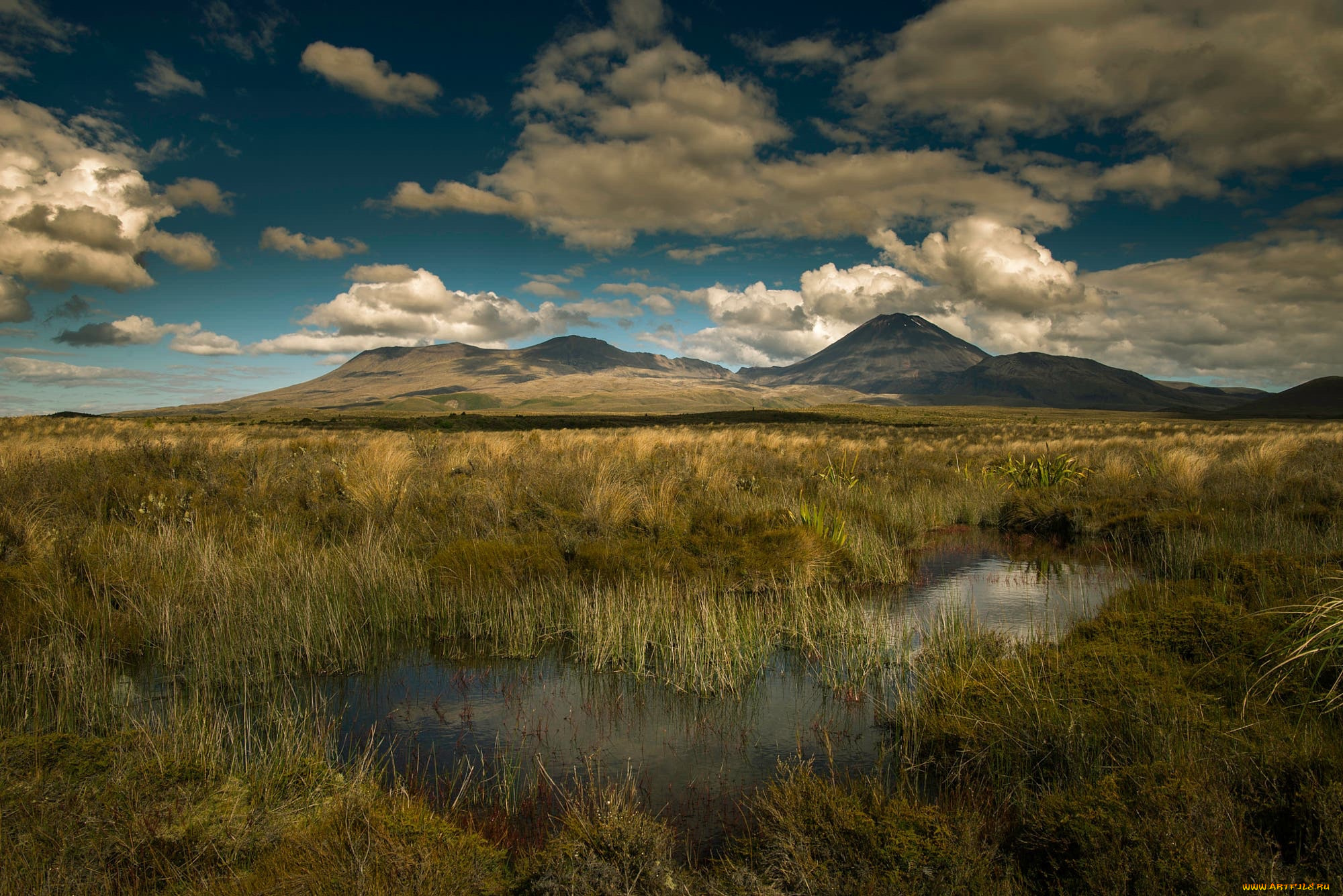 природа, горы, простор