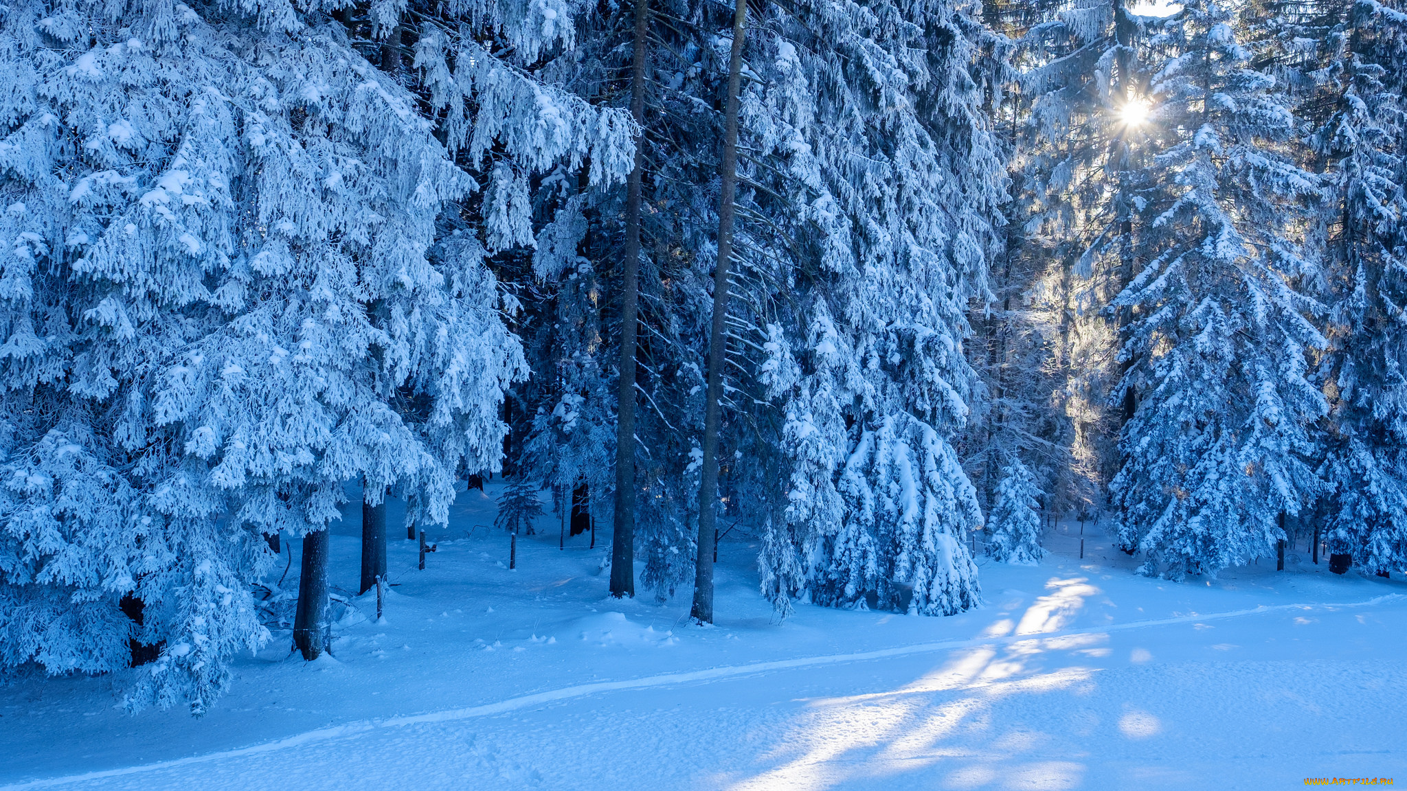 природа, зима, снег