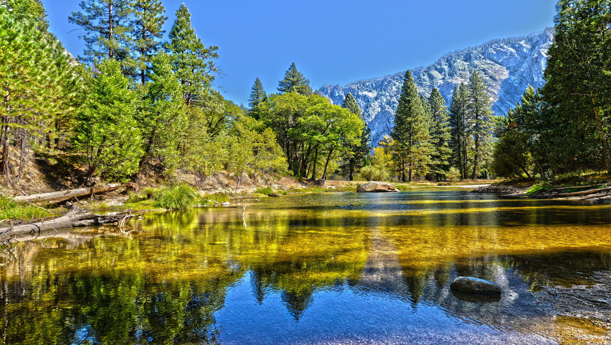 природа, реки, озера, лес, река