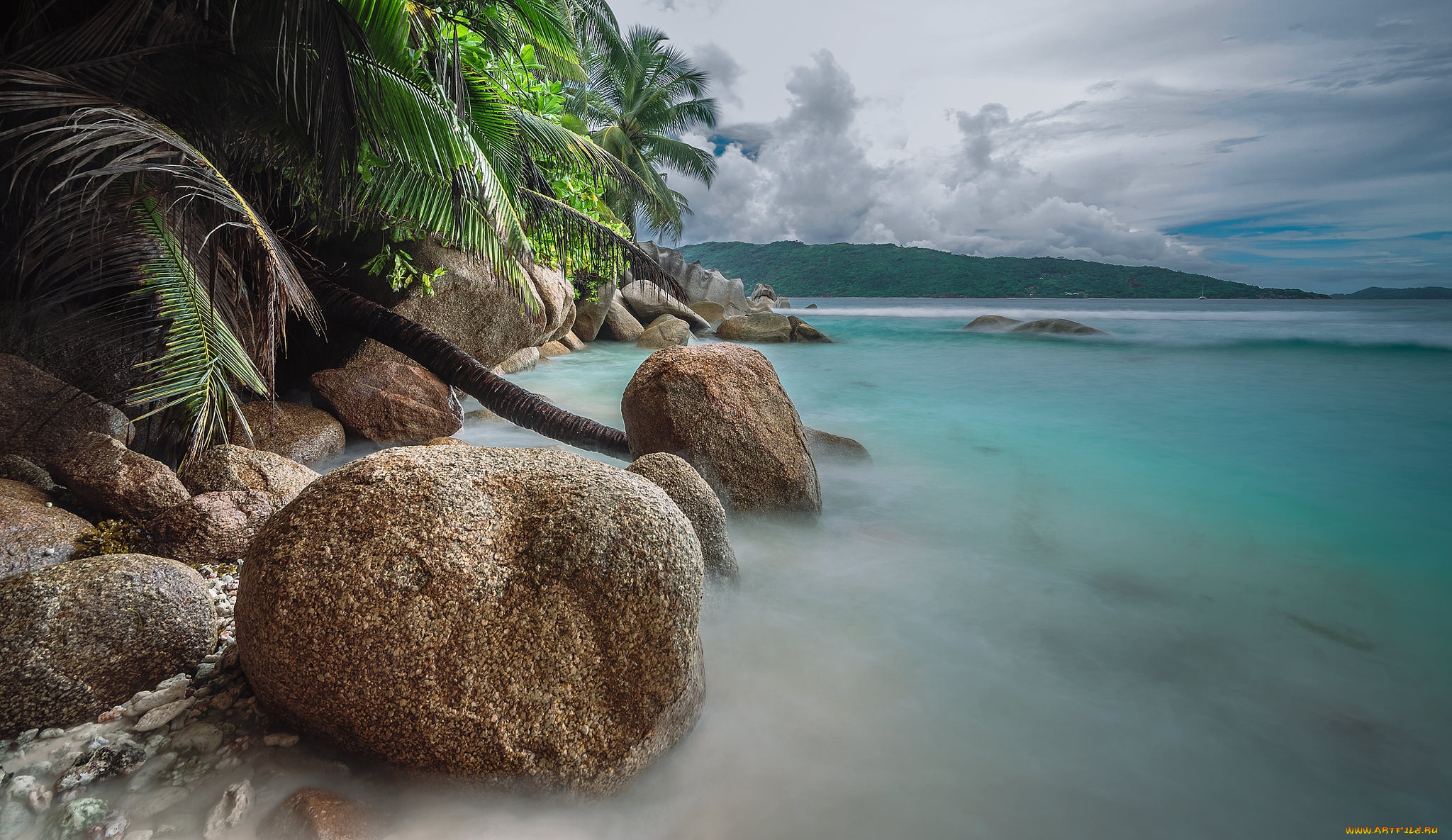 природа, тропики, курорт