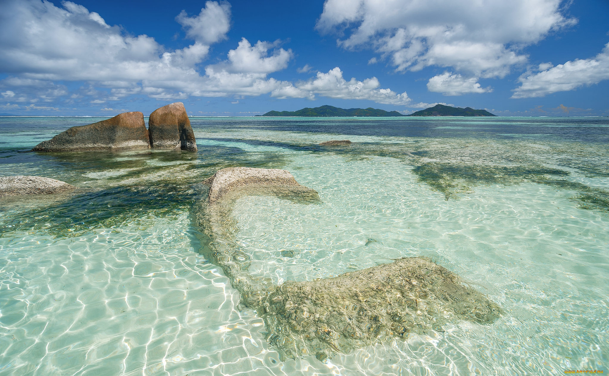 природа, тропики, курорт