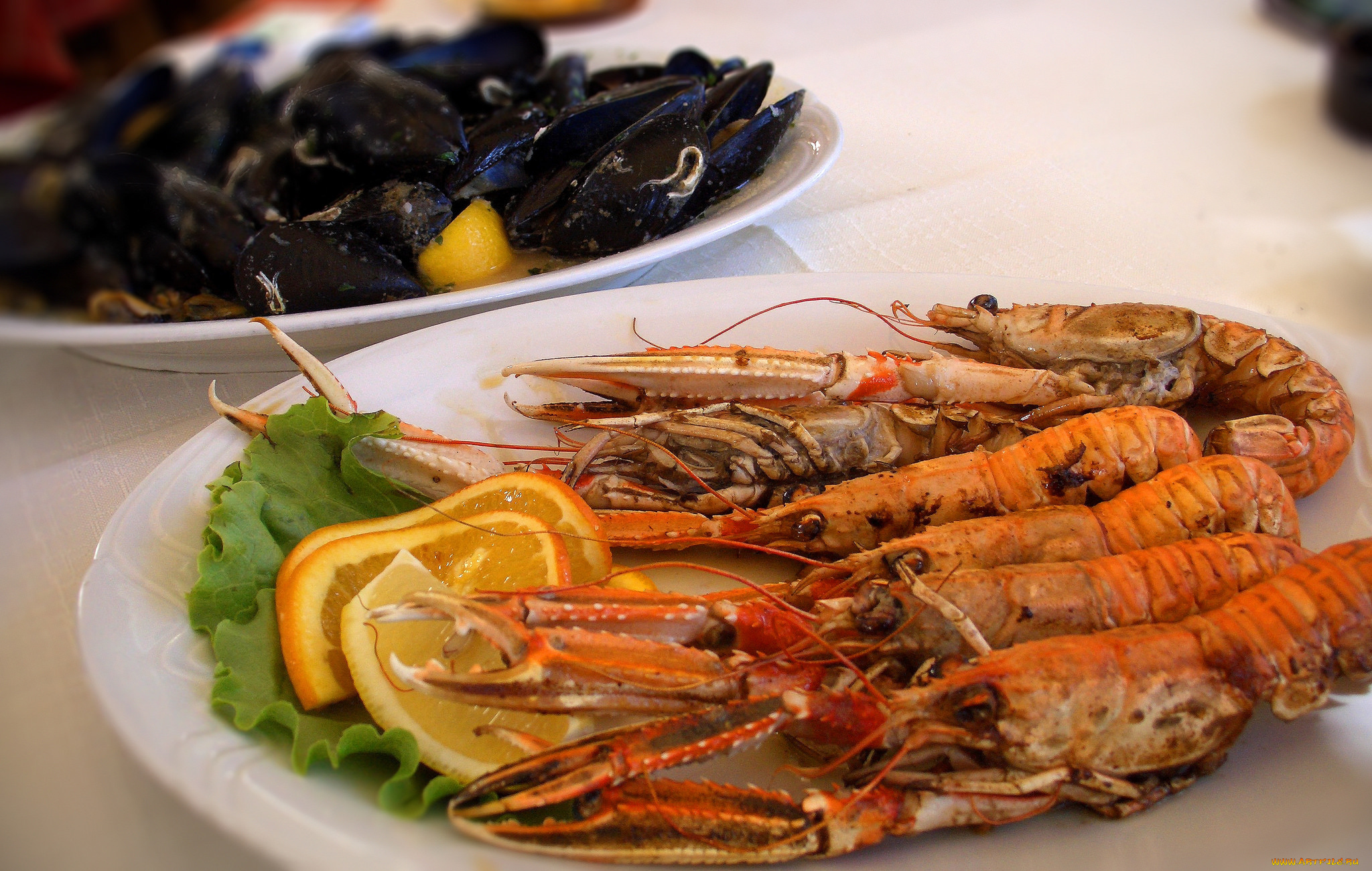 еда, рыба, , морепродукты, , суши, , роллы, деликатесы