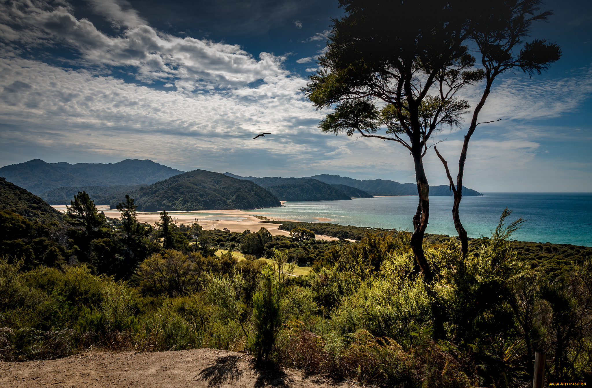 природа, побережье, море, берег