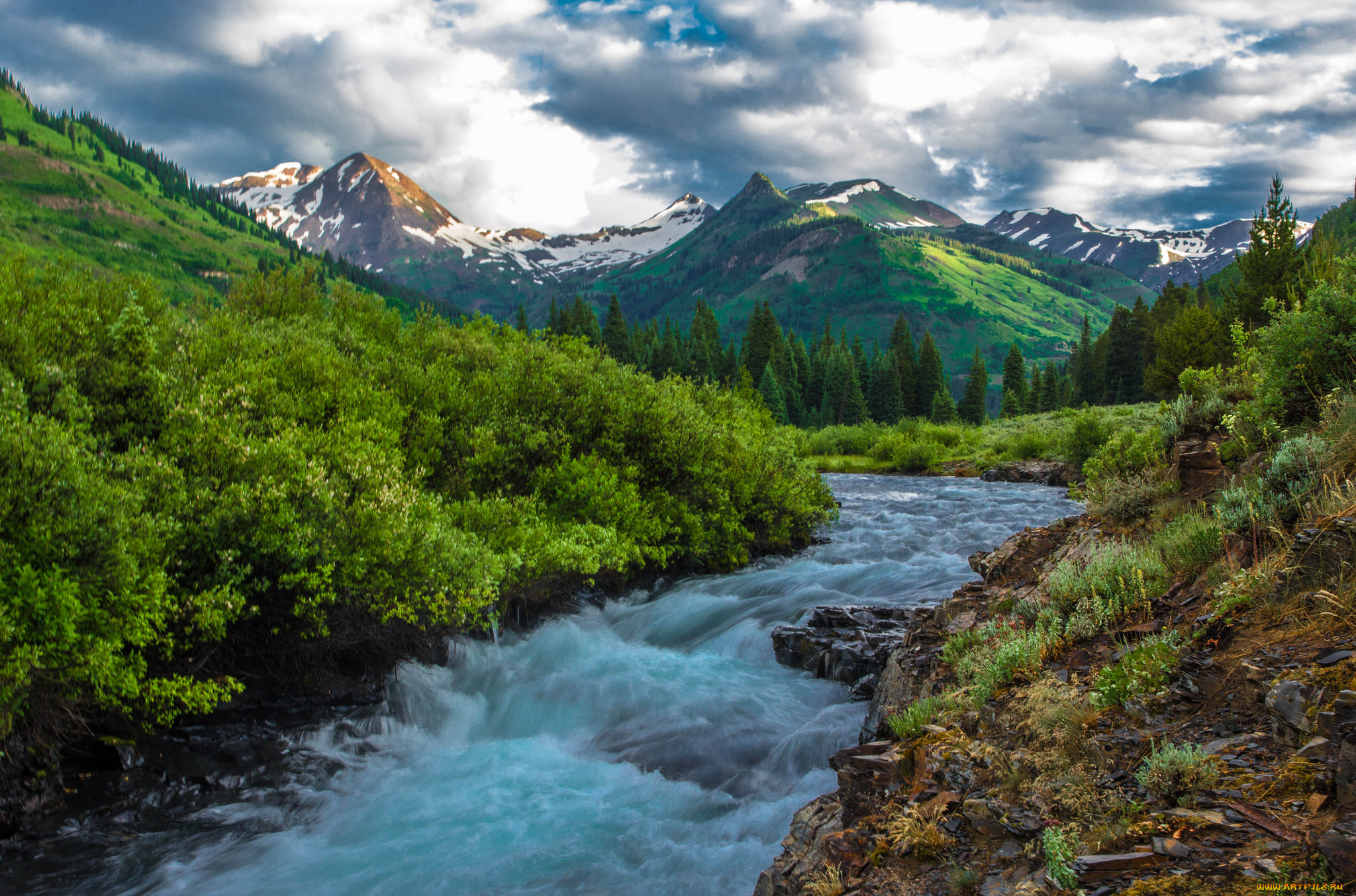 природа, реки, озера, лес, река