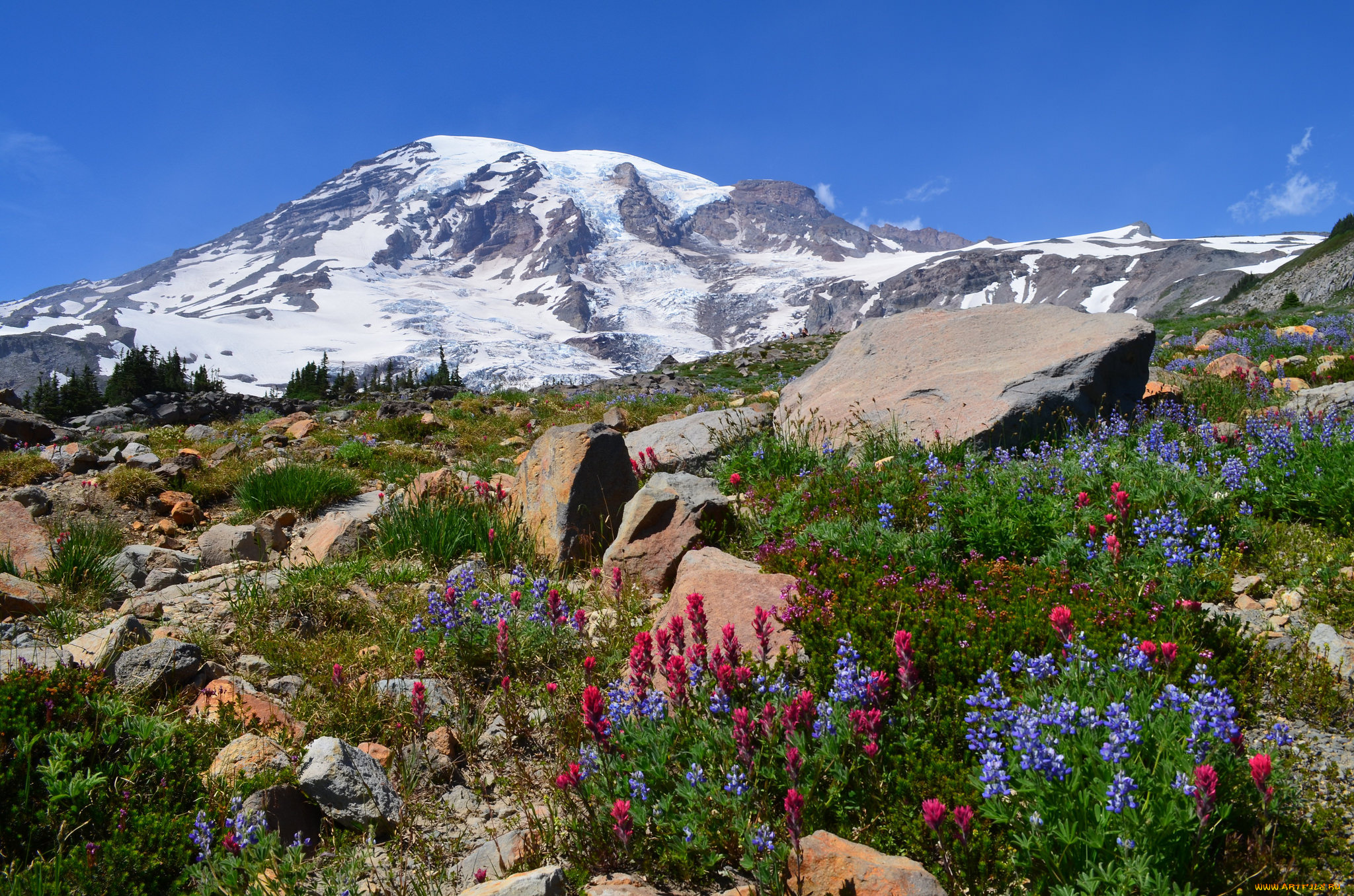 природа, горы, простор