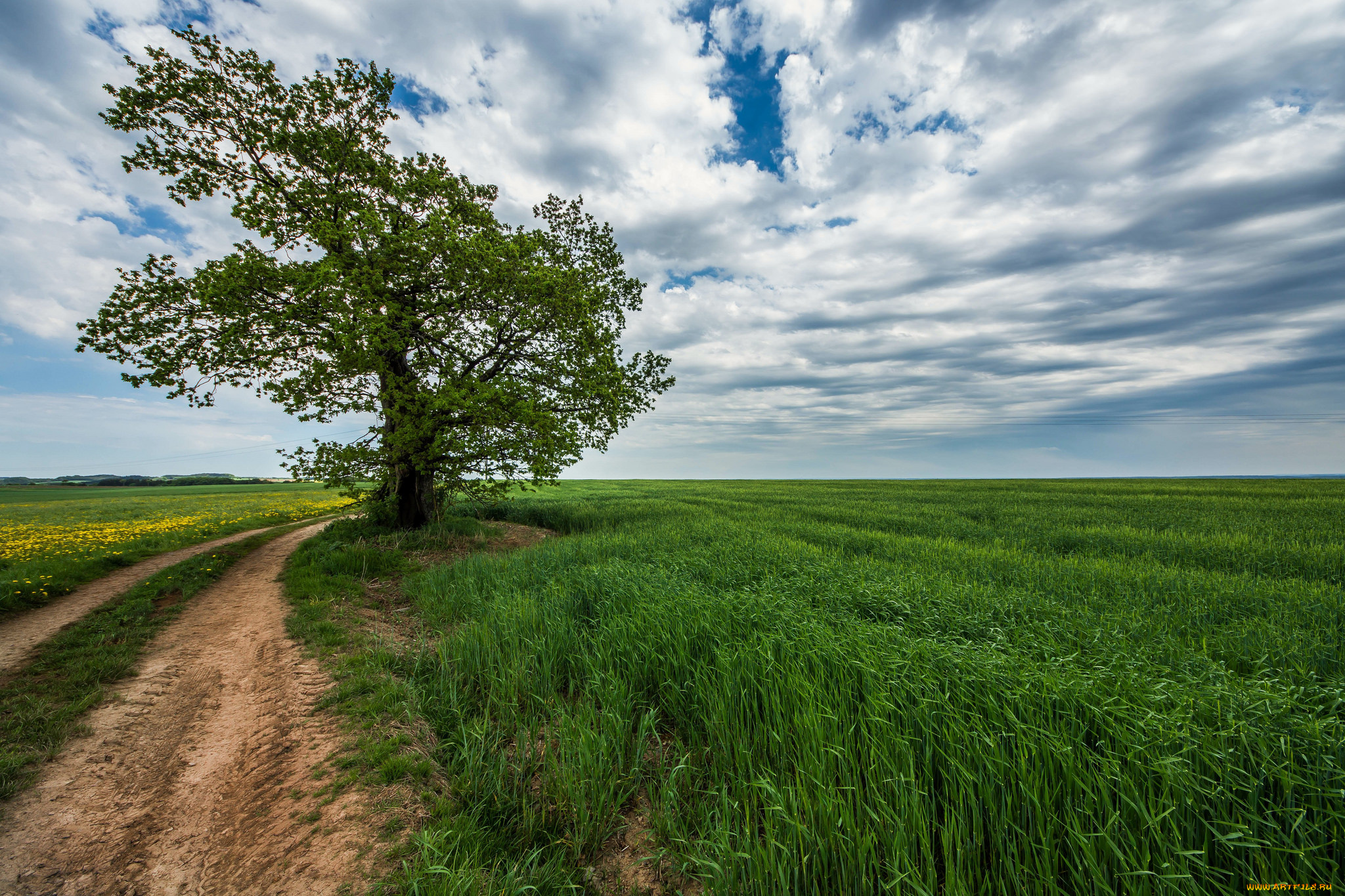 природа, дороги, тракт