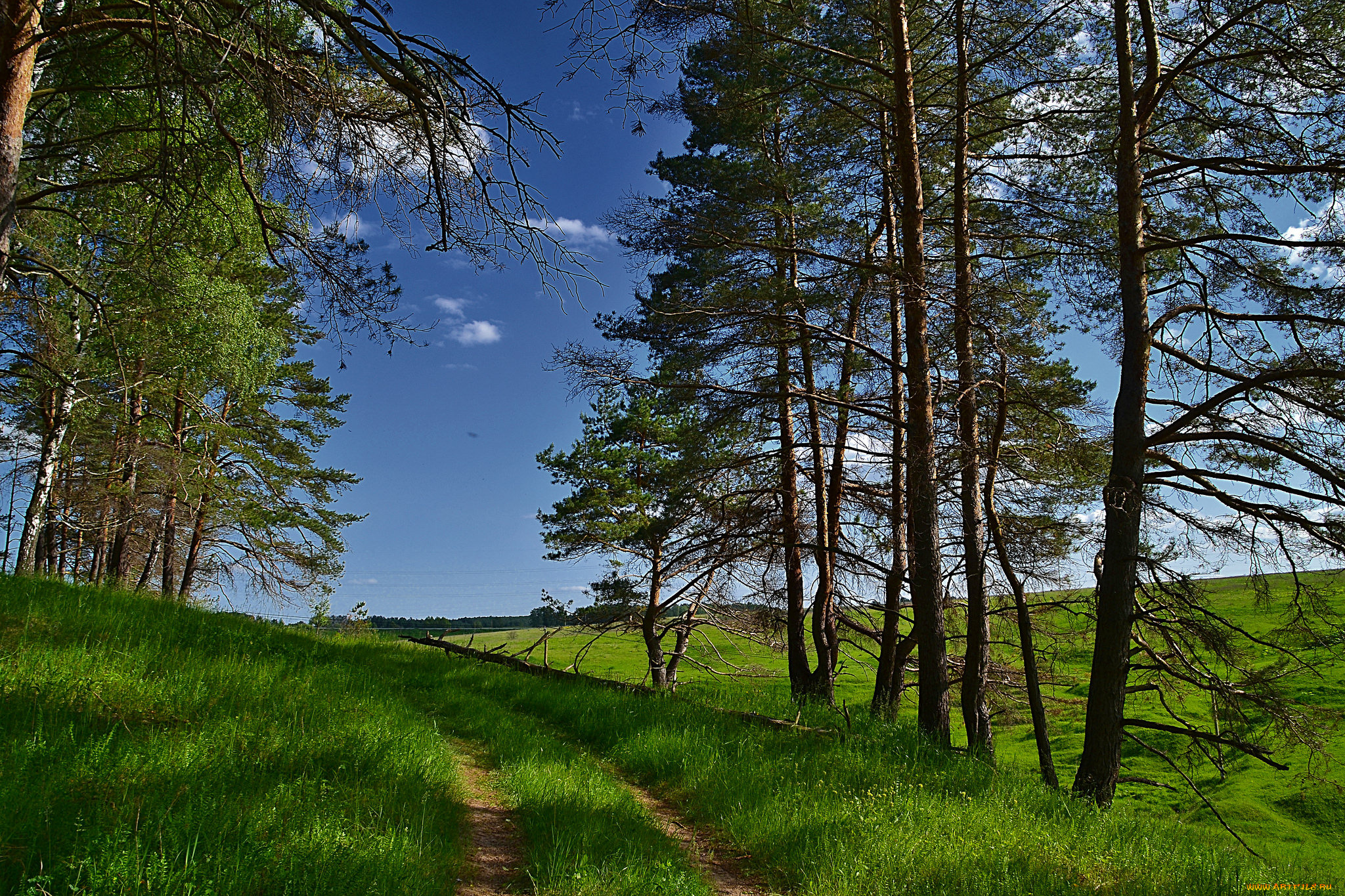 природа, дороги, тракт
