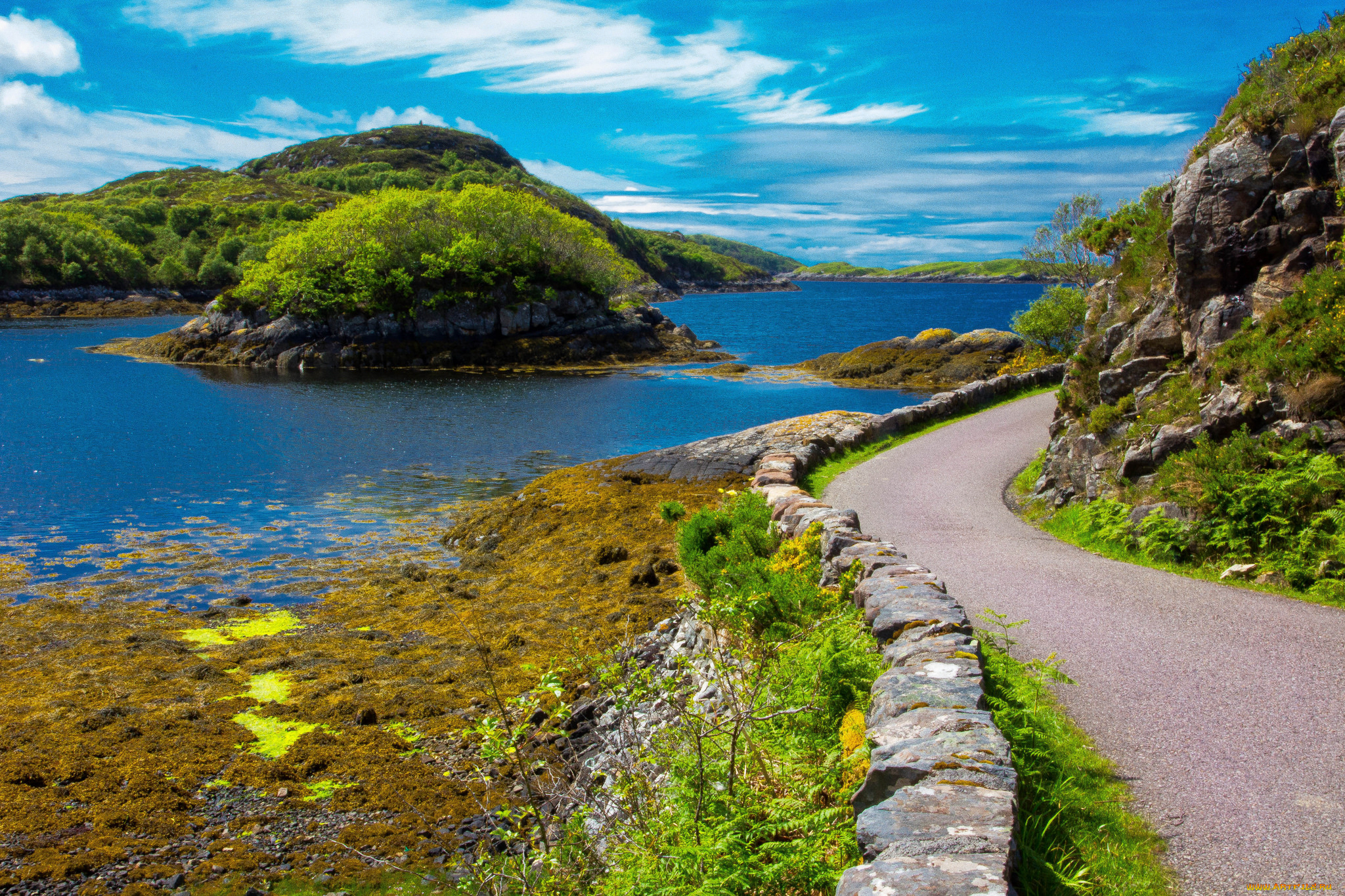 природа, пейзажи, простор