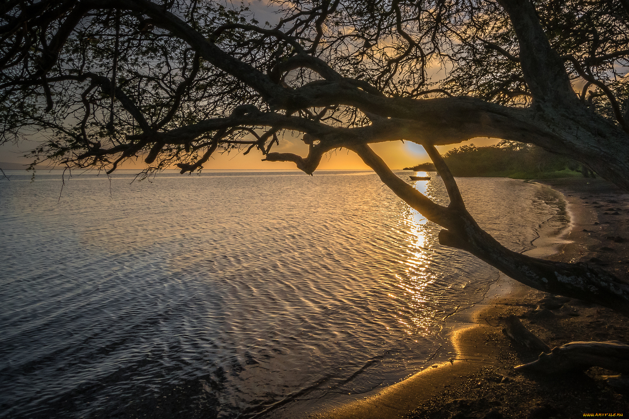 природа, побережье, море, берег