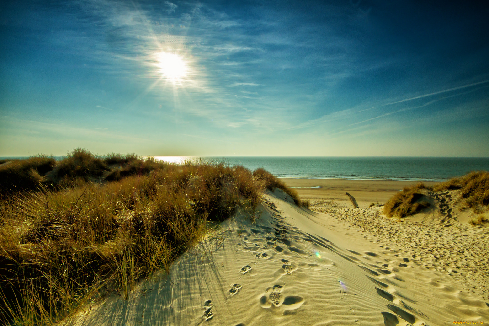 природа, побережье, море, берег