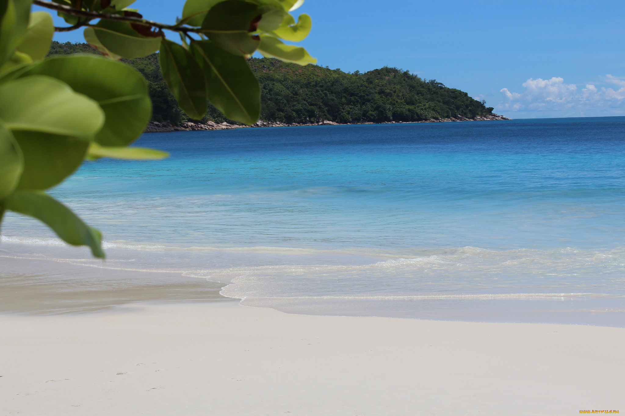 природа, побережье, песок, пальмы, море, пляж