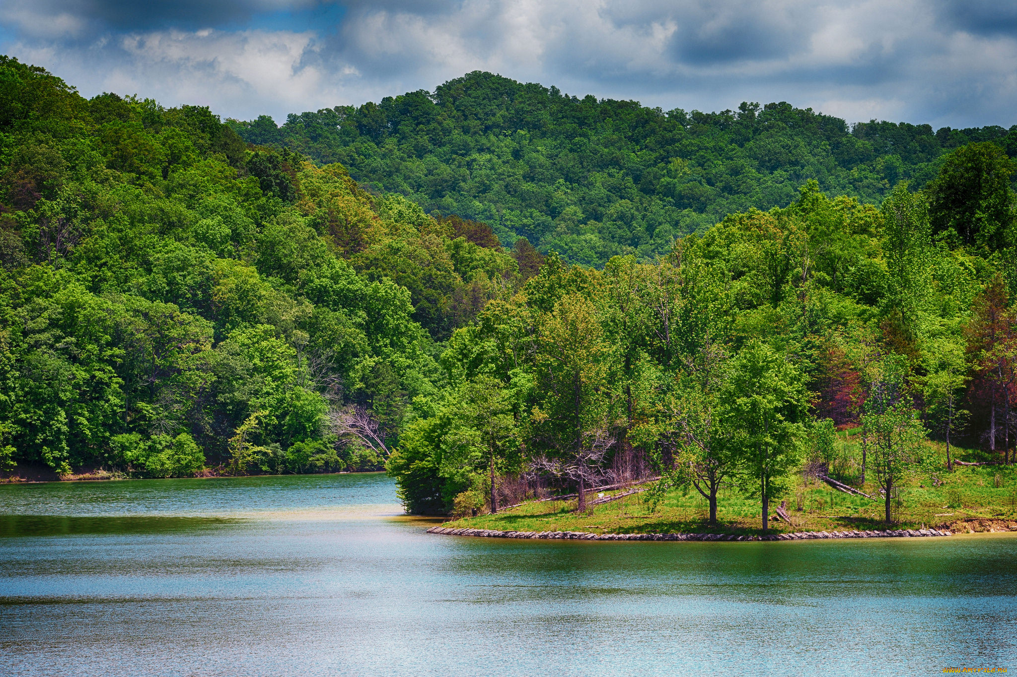 природа, реки, озера, лес, река