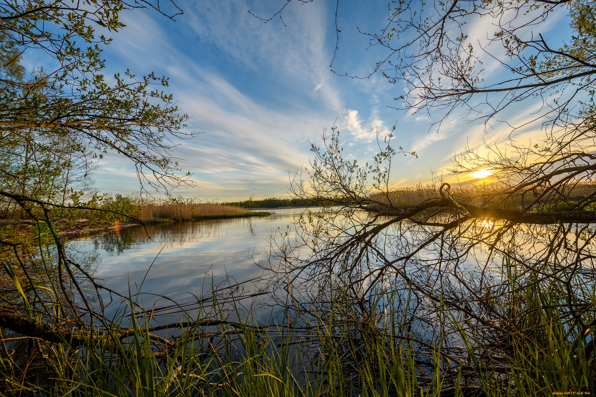 природа, реки, озера, лес, река