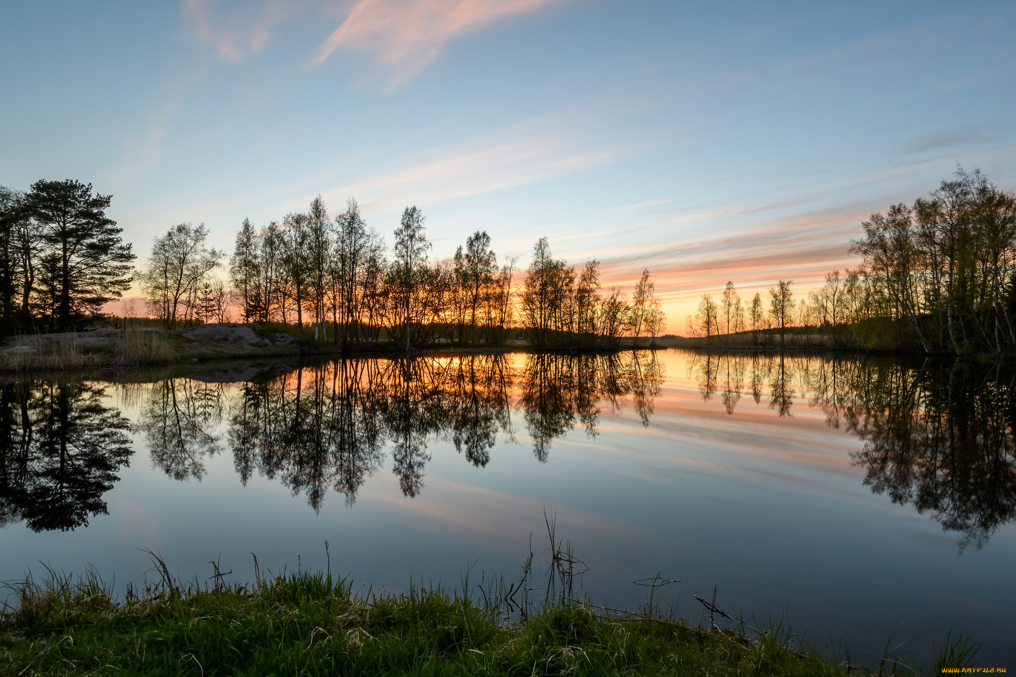 природа, реки, озера, лес, река