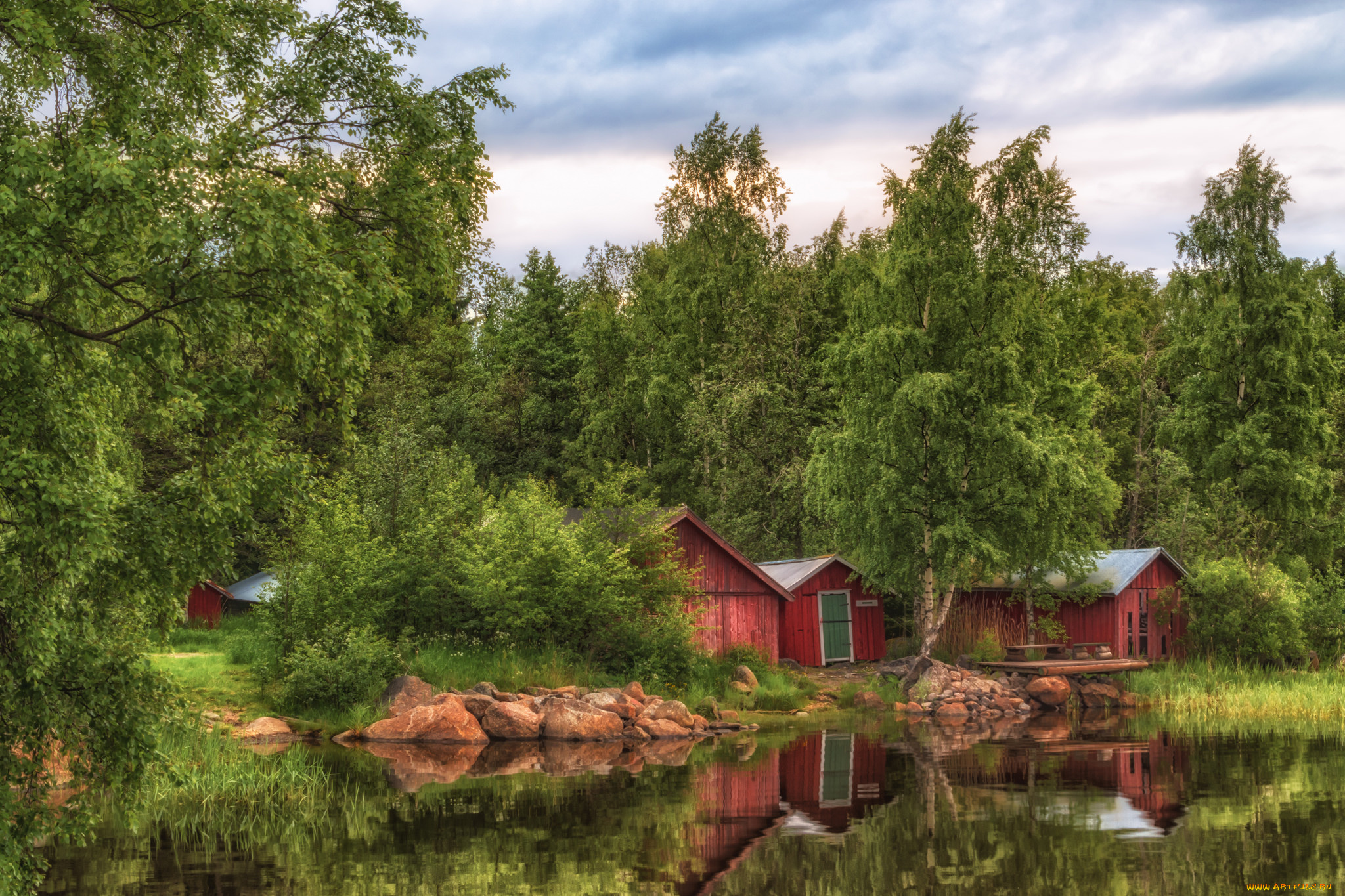 природа, реки, озера, лес, река