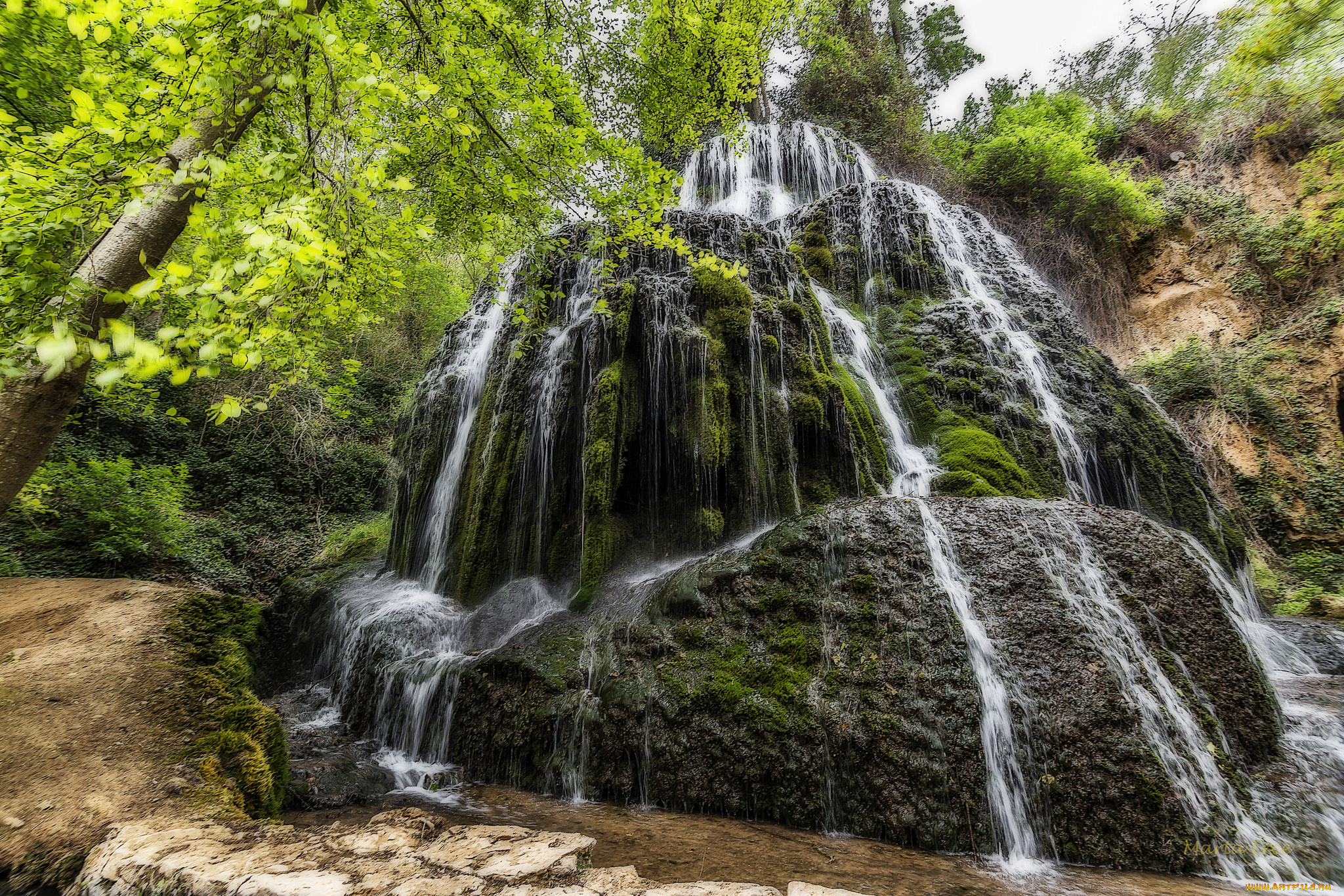 природа, водопады, лес, водопад, река