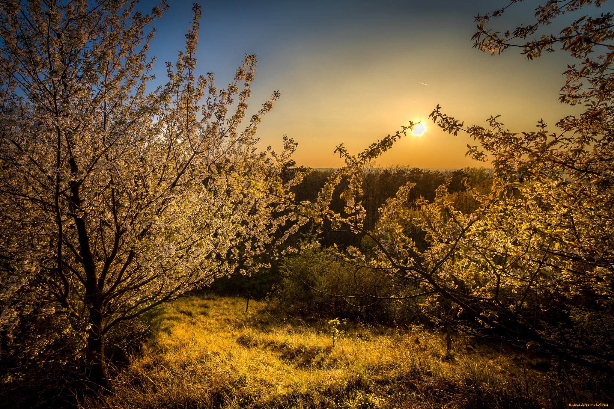 природа, восходы, закаты, простор