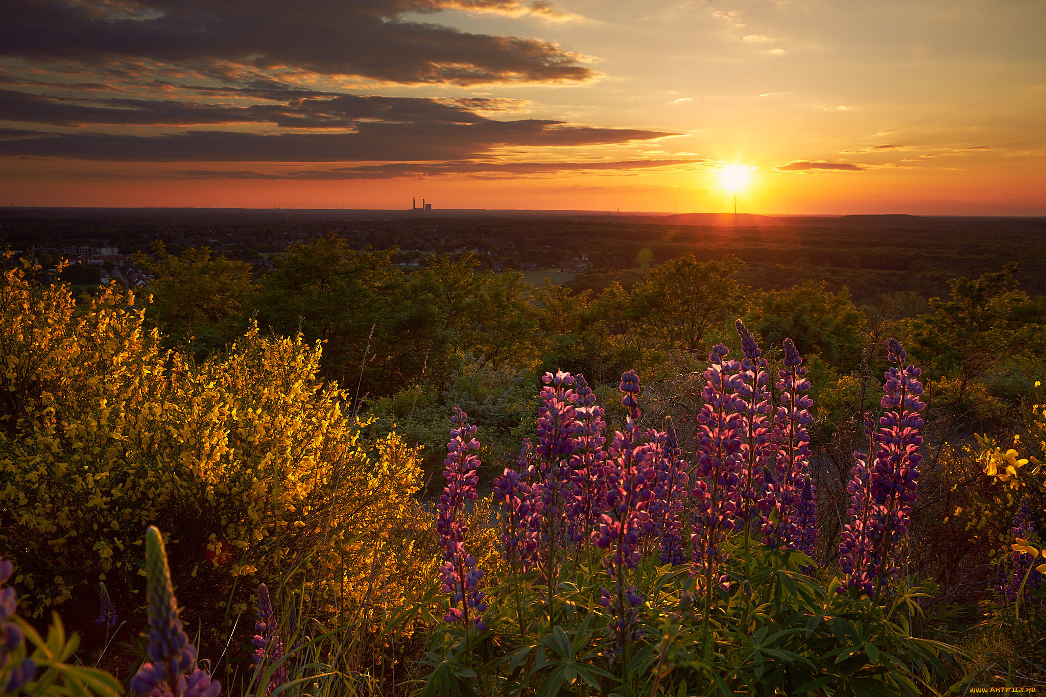 природа, восходы, закаты, рассвет